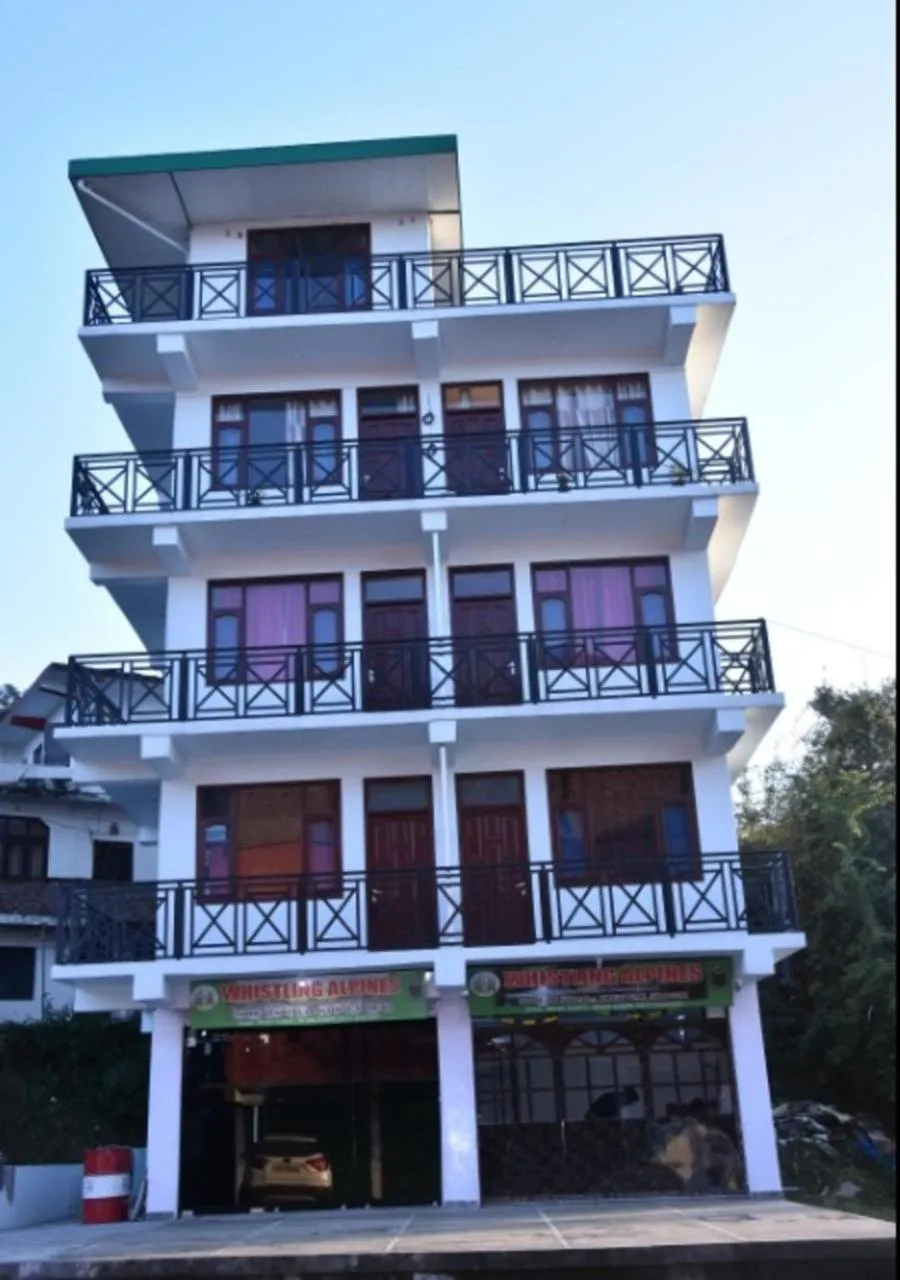 Property building in Whistling Alpines