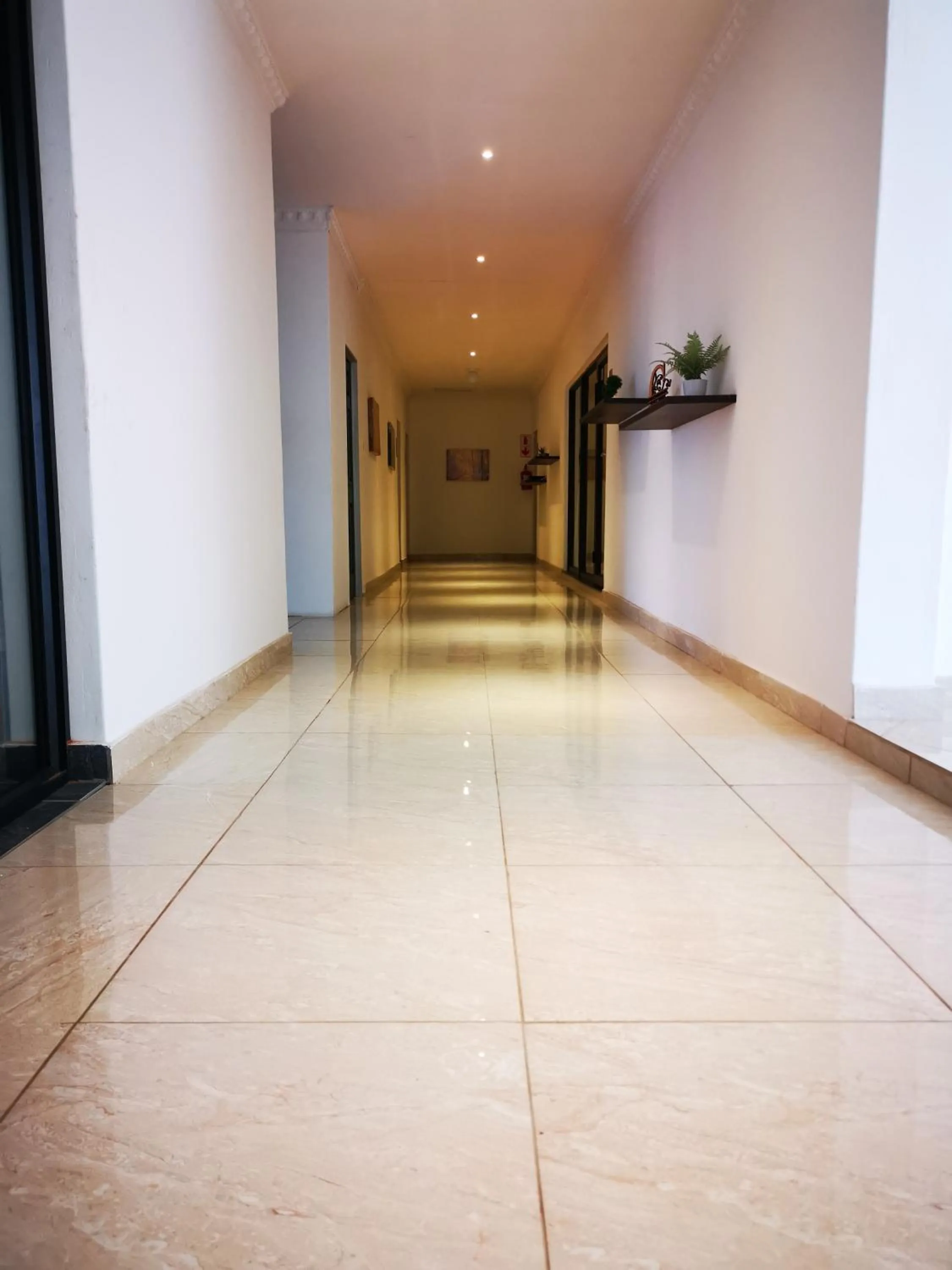 Green Olive Panorama