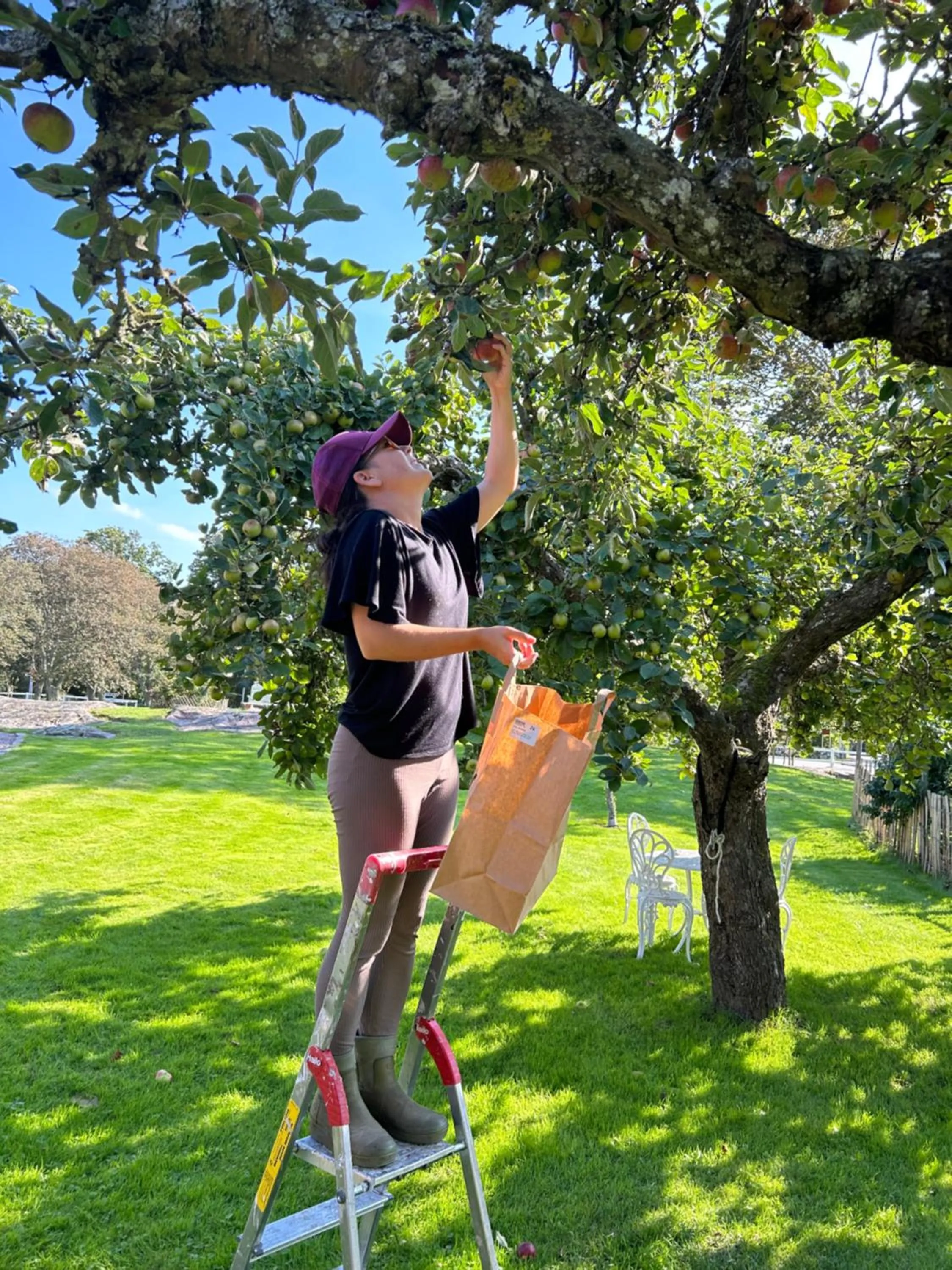 Day in Halmstad Gårdshotell