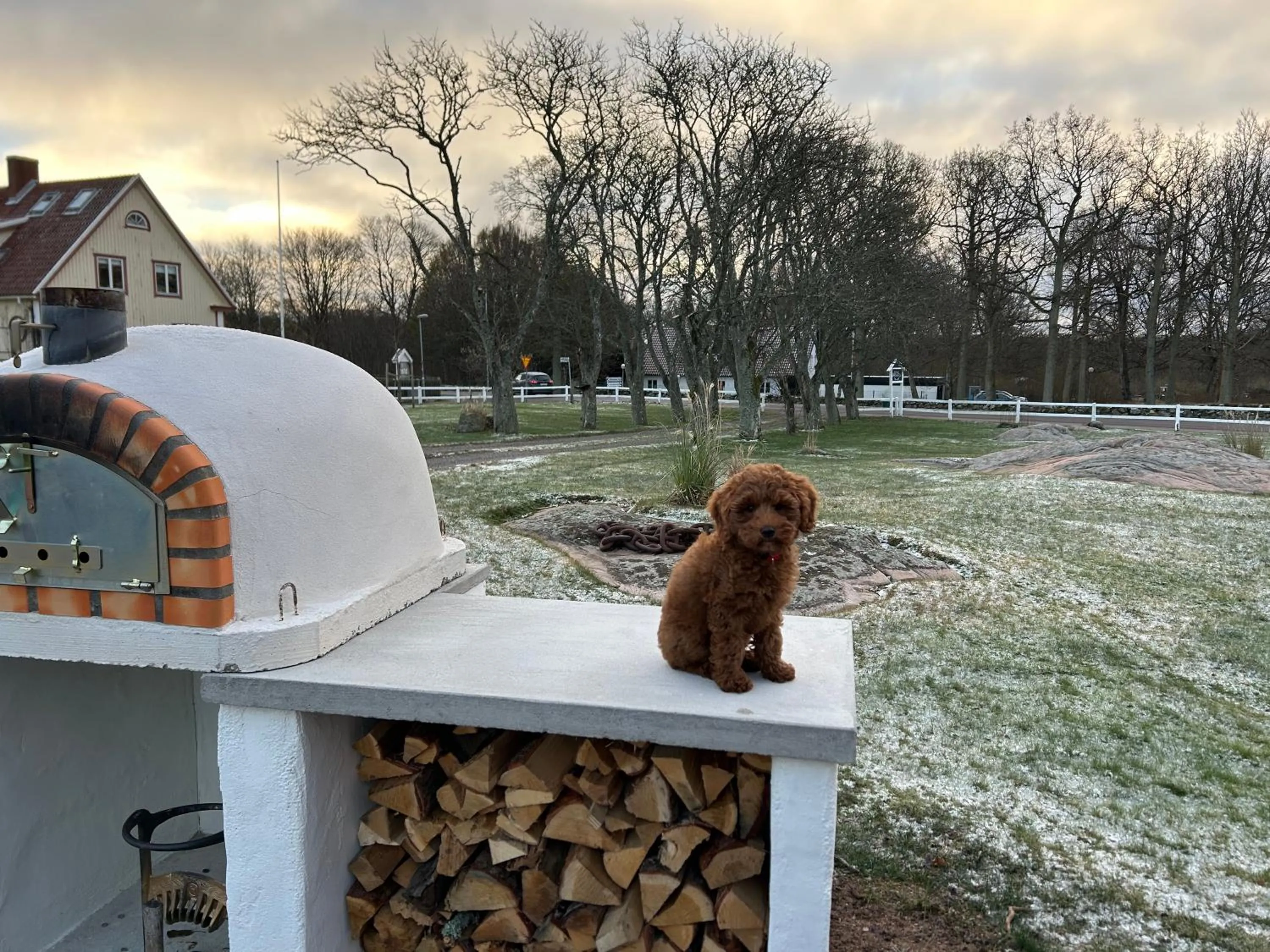 BBQ facilities in Halmstad Gårdshotell