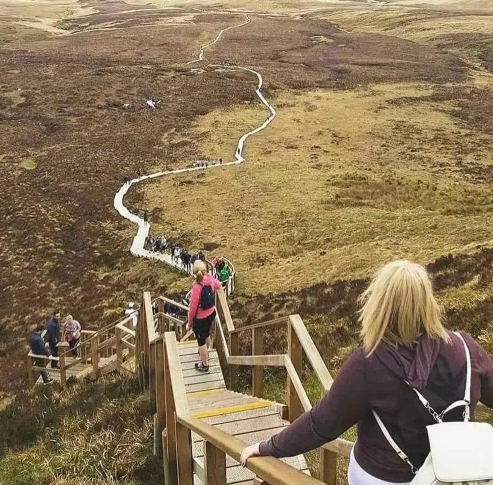 Natural landscape in Arch House