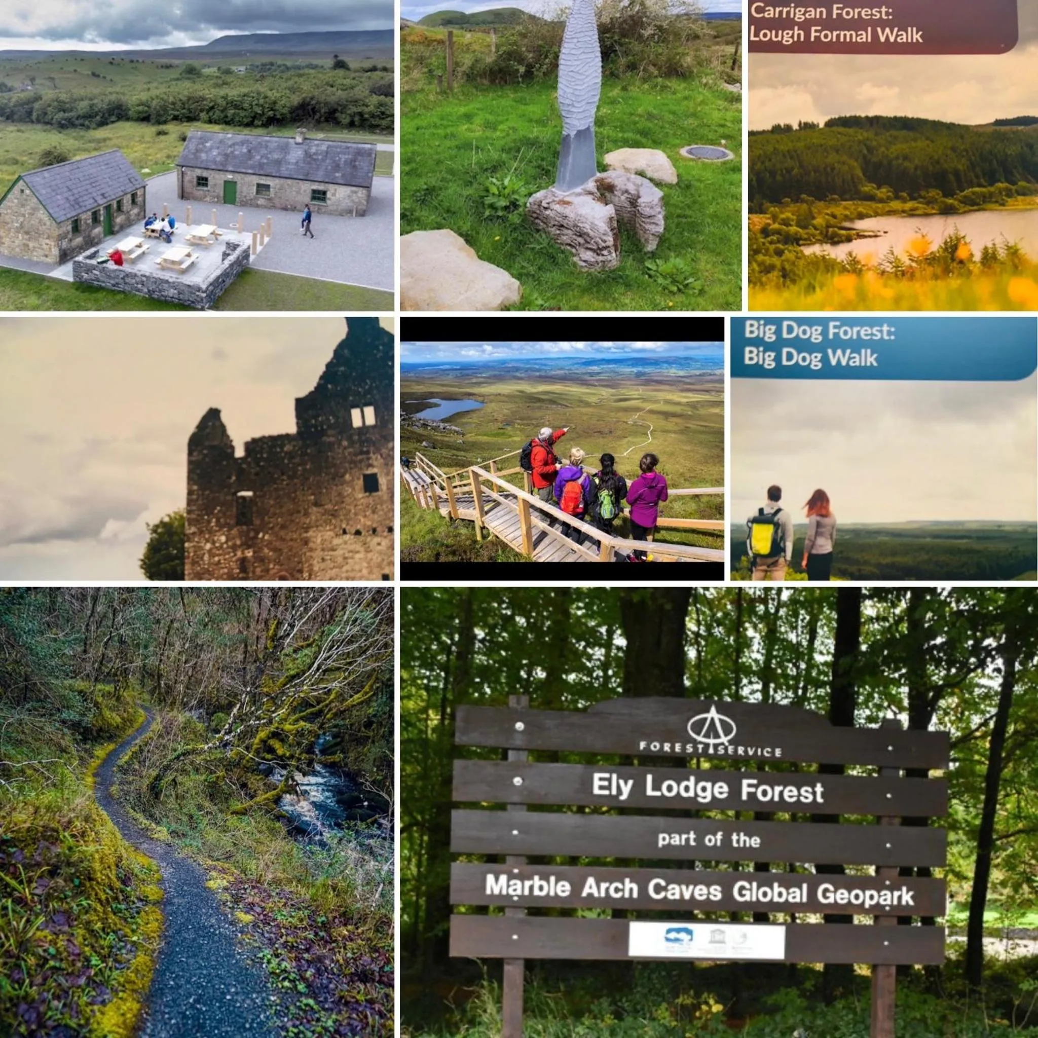 Natural landscape in Arch House