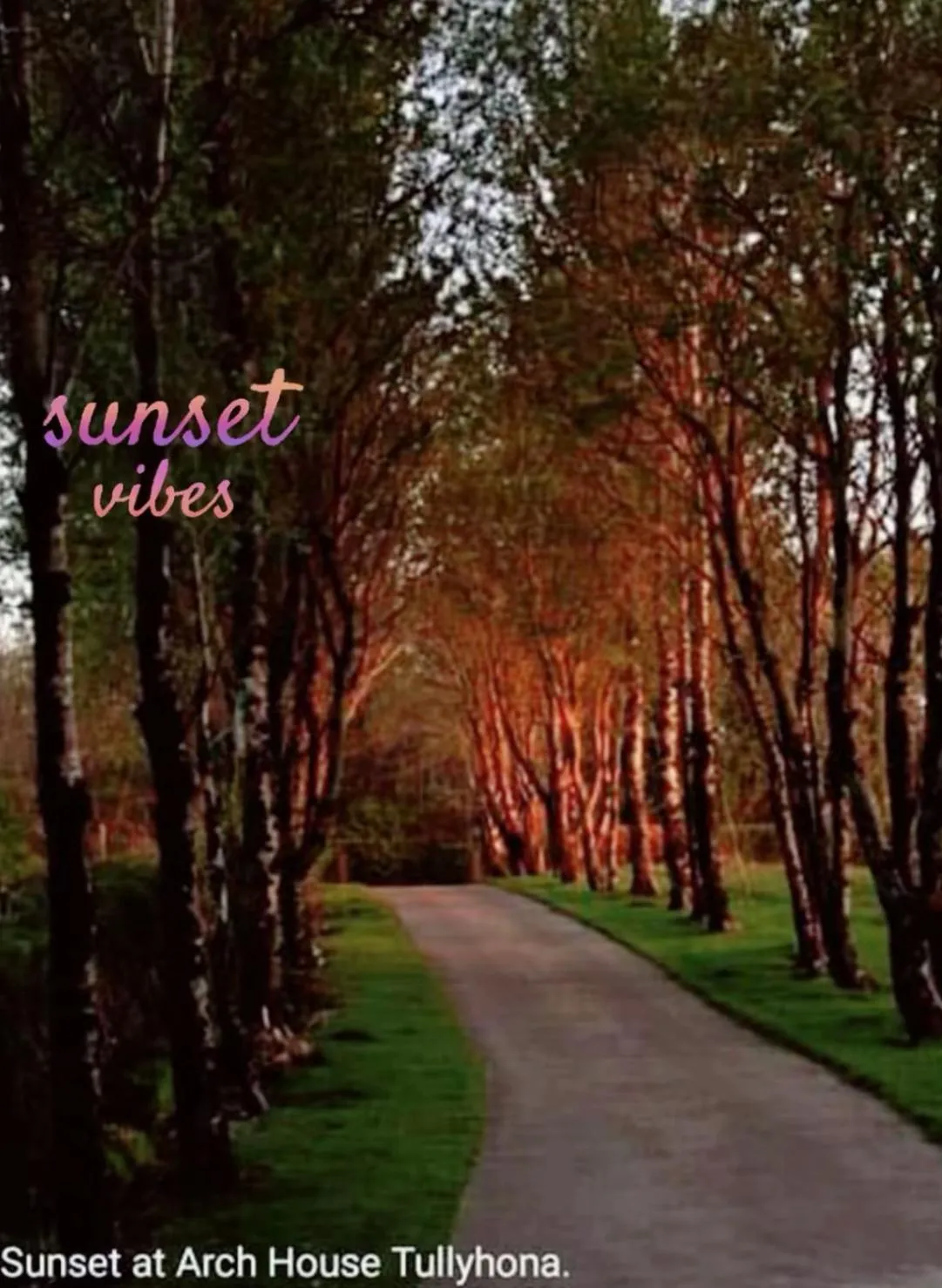 Street view in Arch House