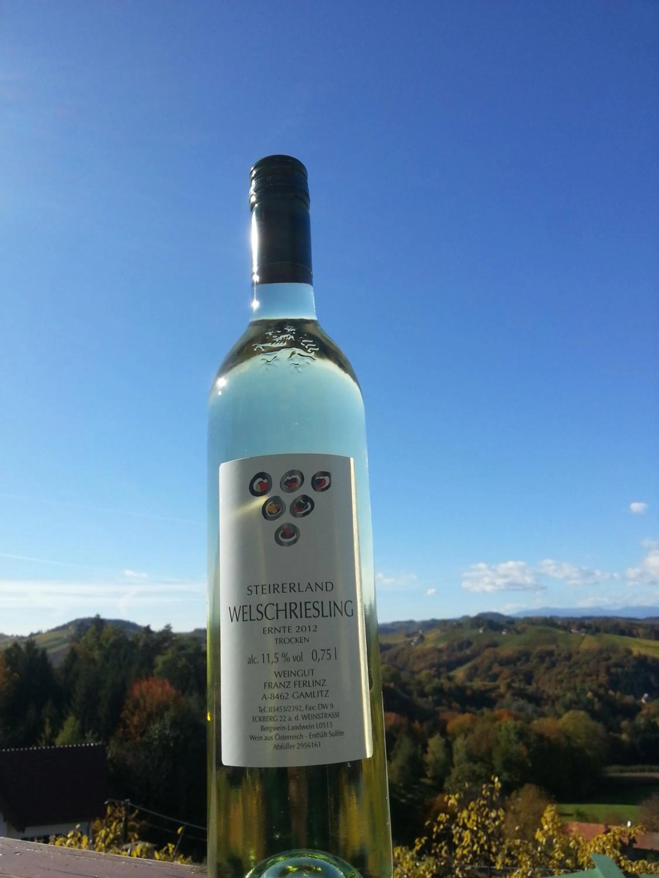 Entertainment in Hotel Eckbergerhof