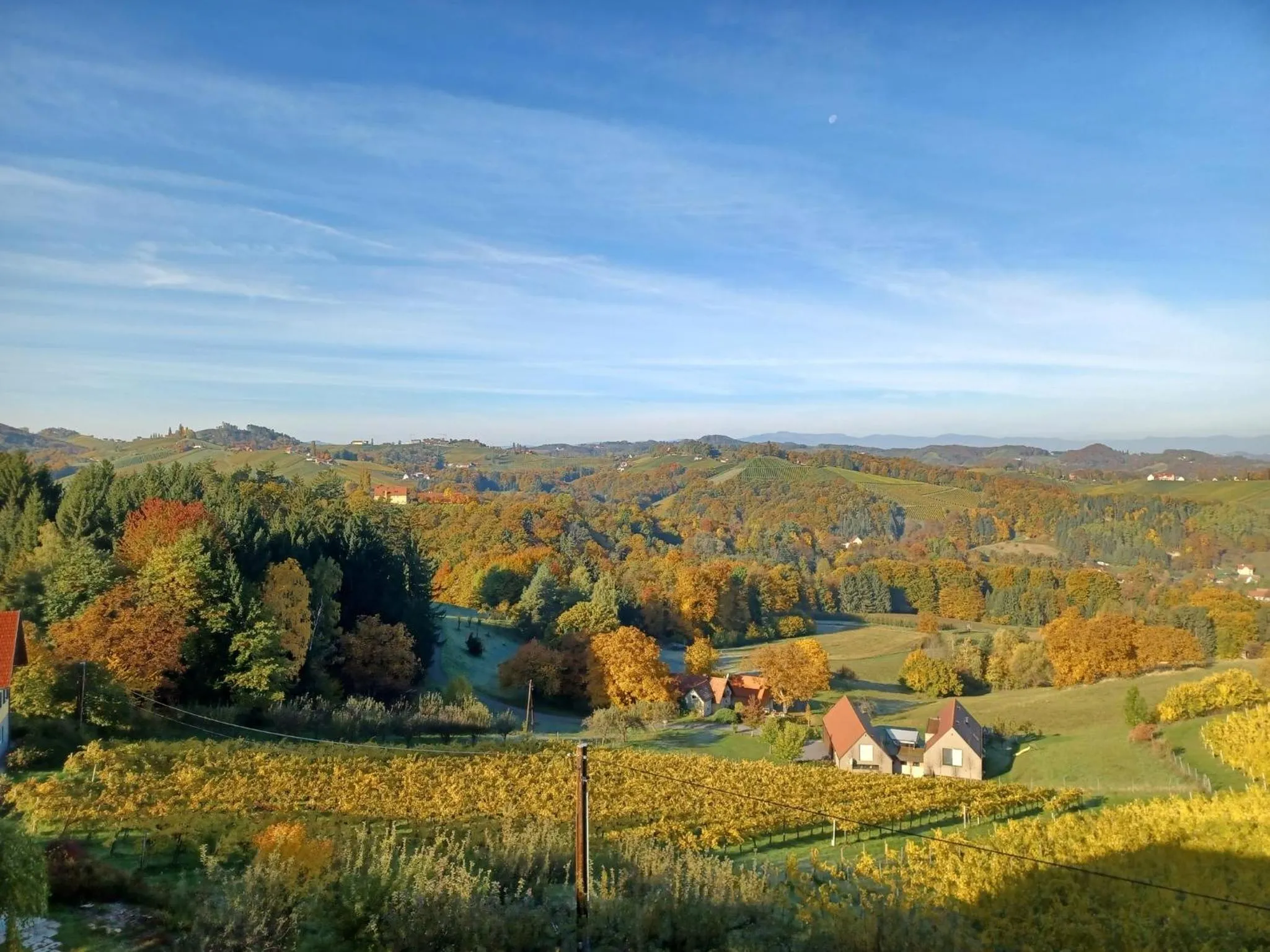 View (from property/room) in Hotel Eckbergerhof