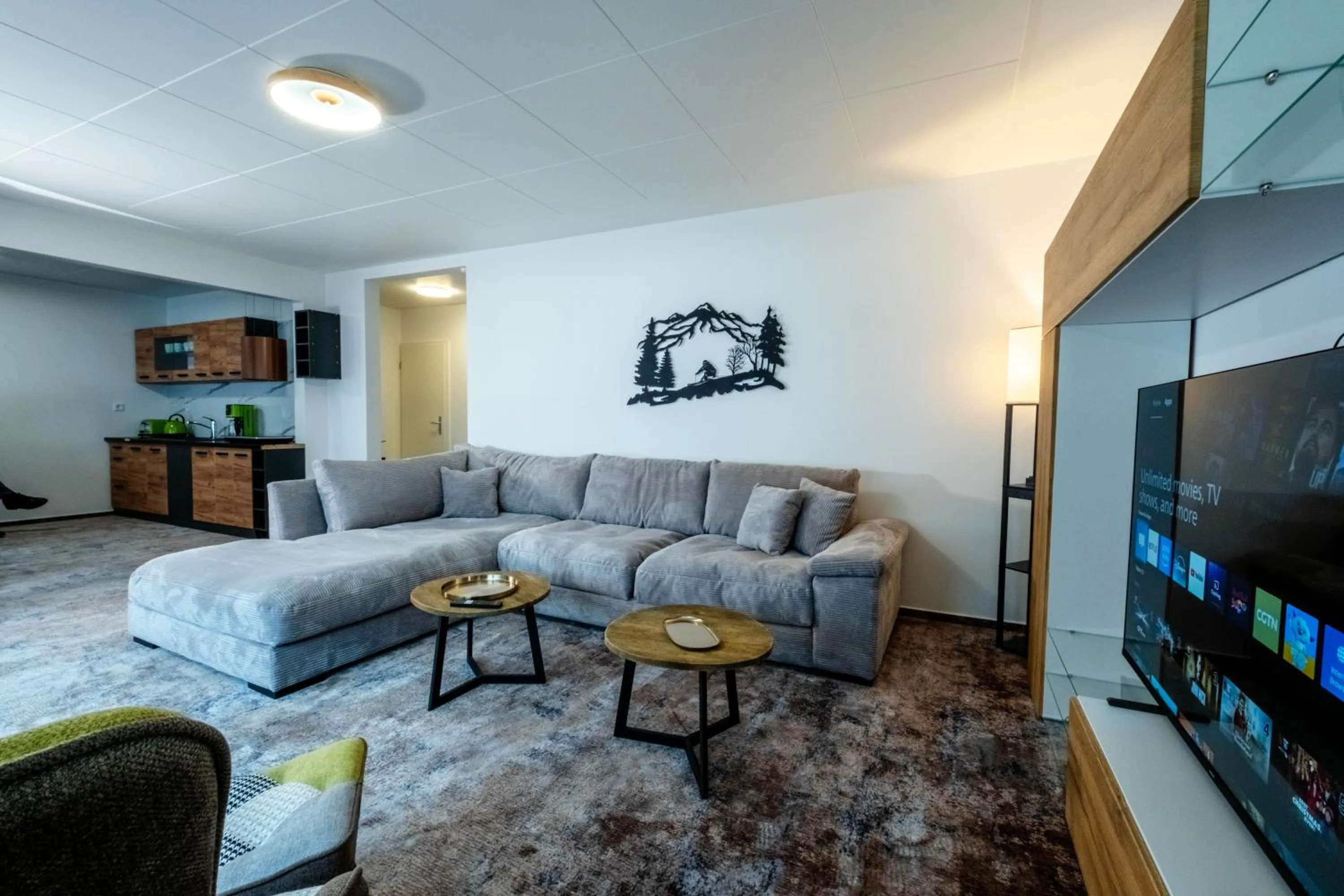 TV and multimedia in Hotel Winterberg Resort