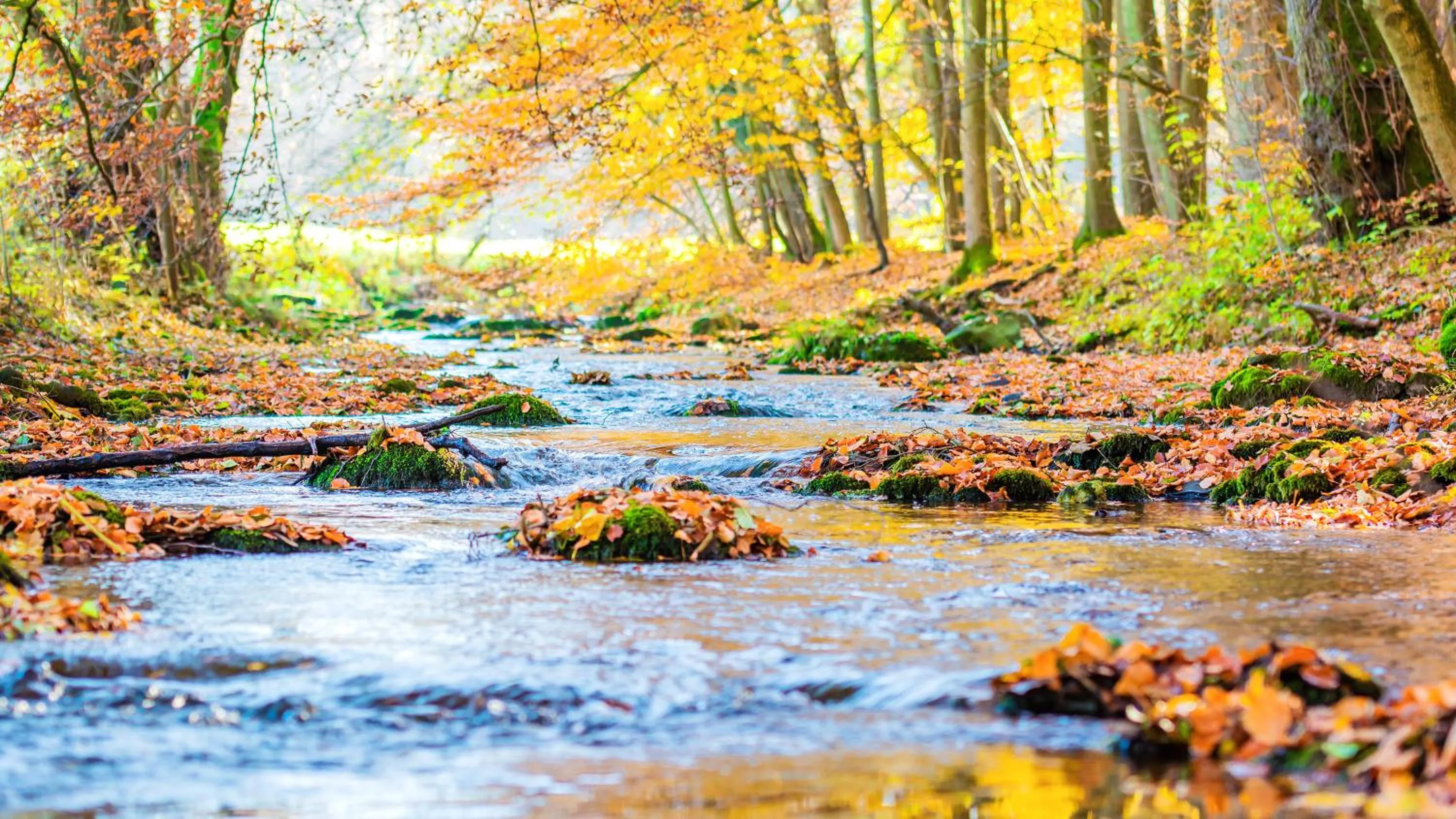 Hotel Winterberg Resort