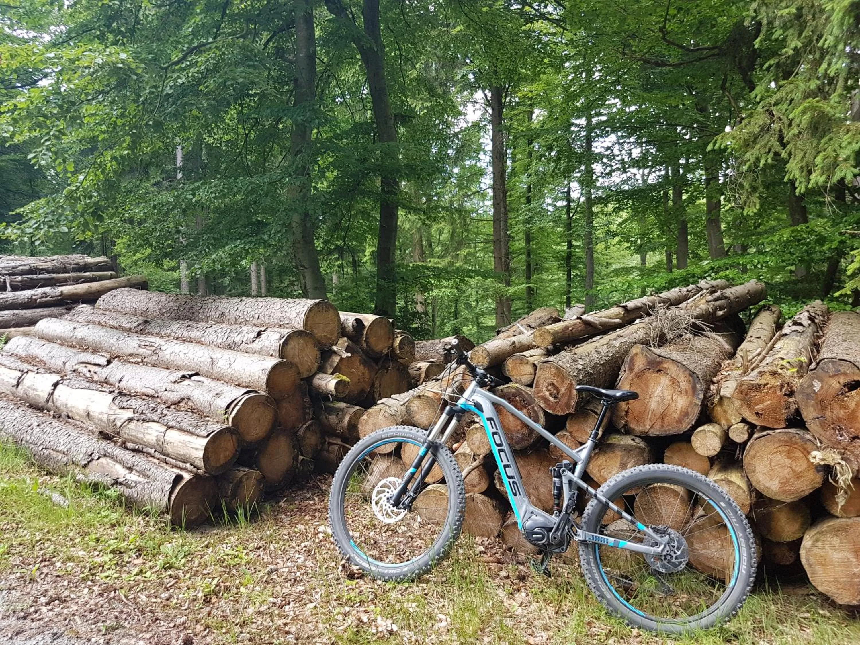 Cycling in Hotel Winterberg Resort