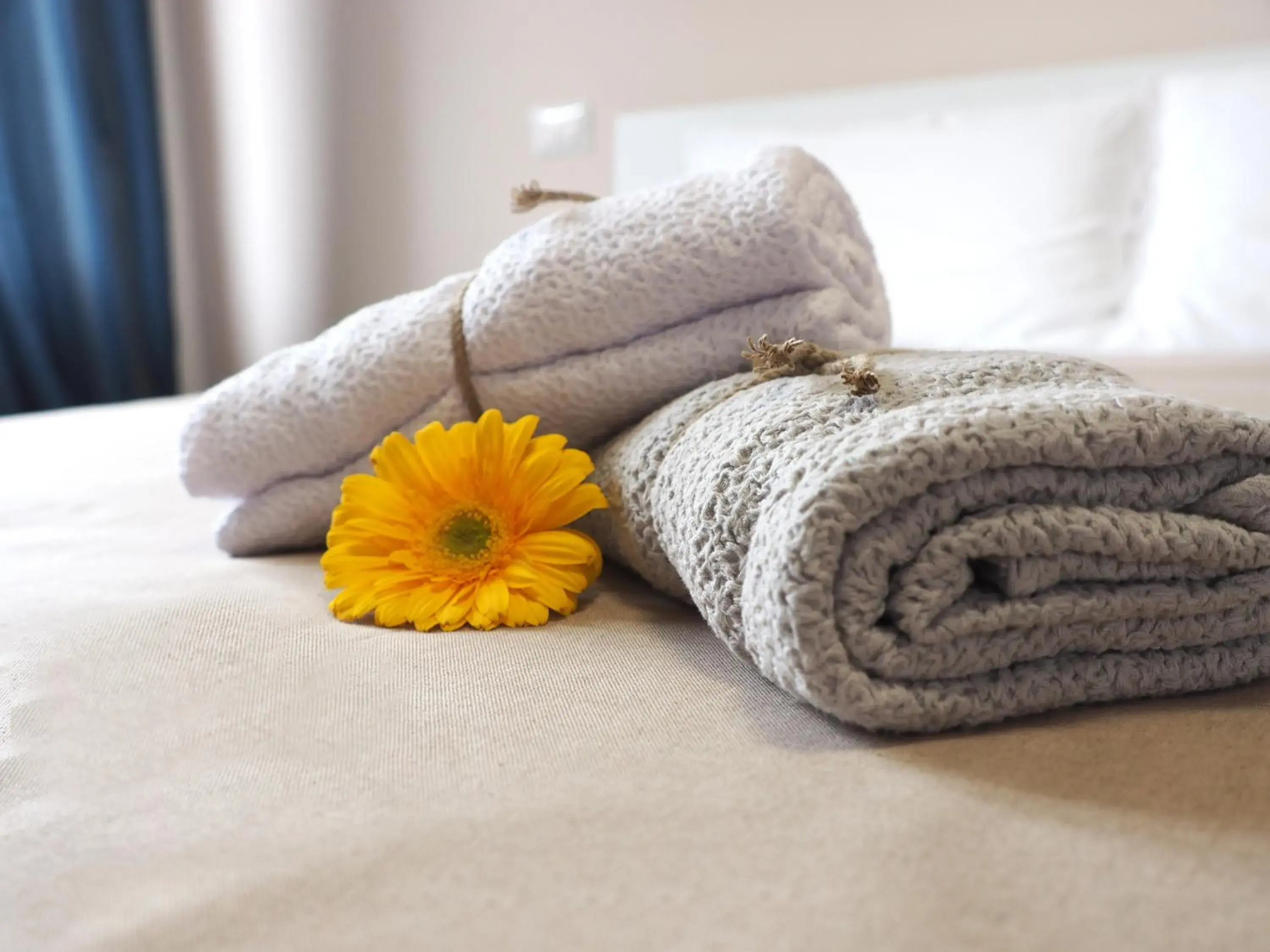 B&B Linae - Residence B&B Linae - Residence