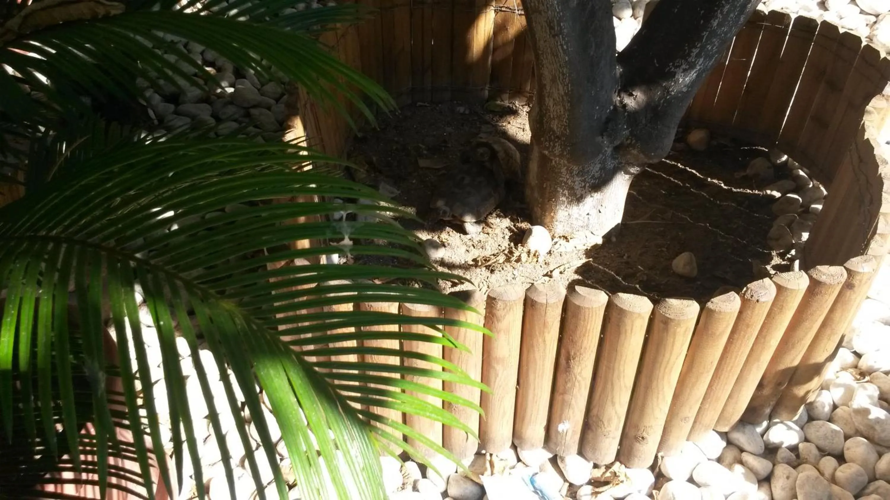 Patio in B&B Gi & Giò