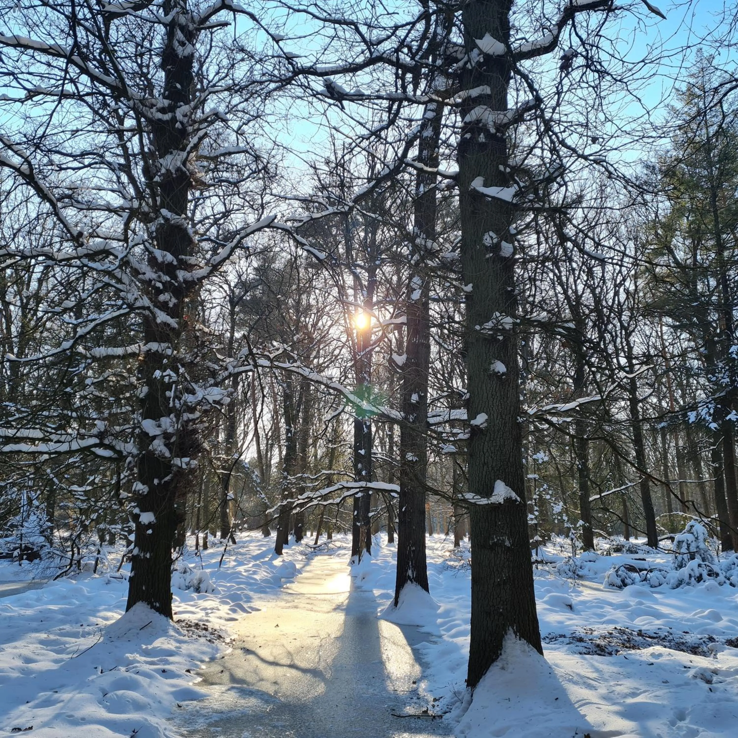 Natural landscape in B&B en vakantiehuis Helene Hoeve