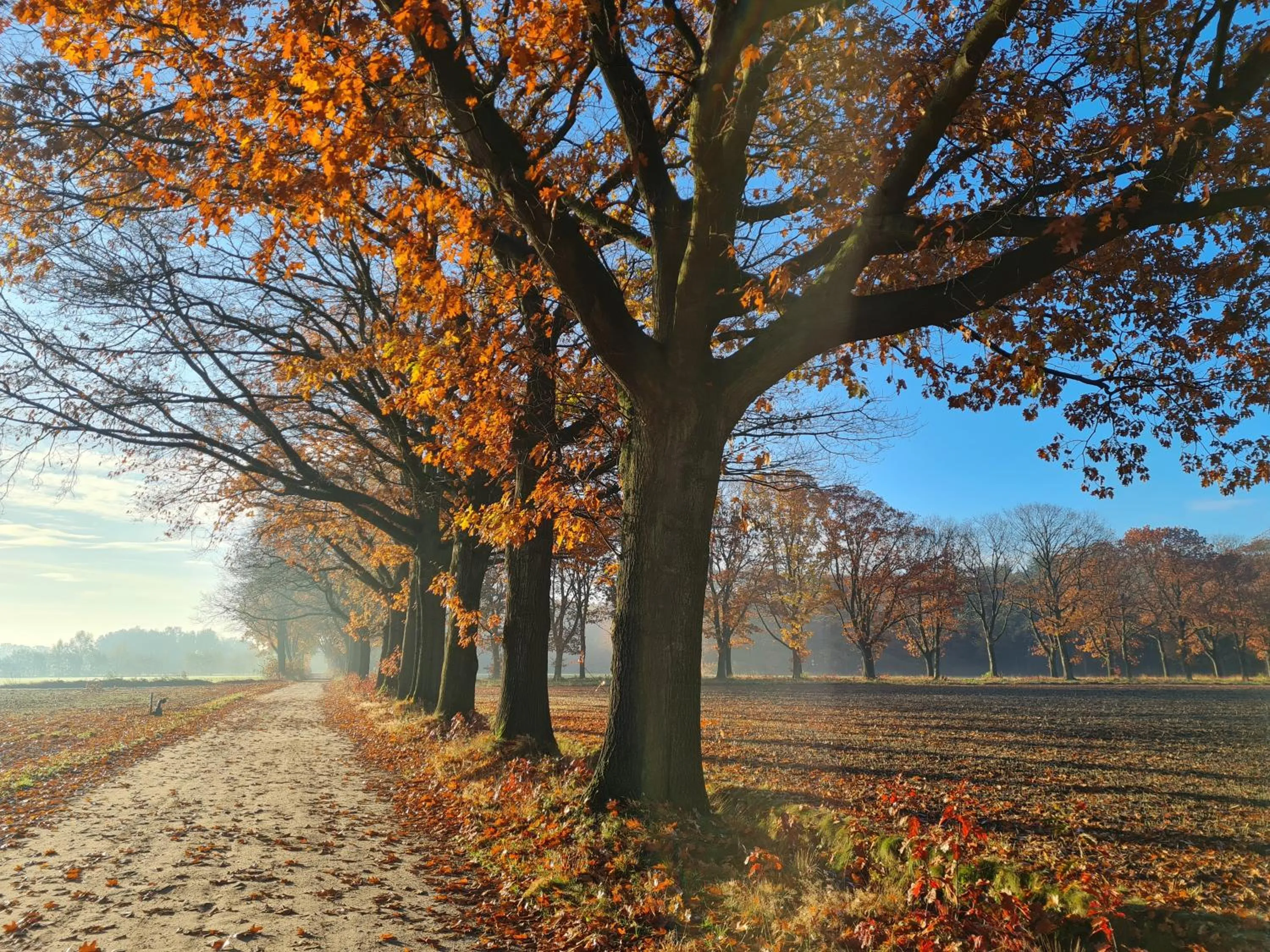 Natural landscape in B&B en vakantiehuis Helene Hoeve