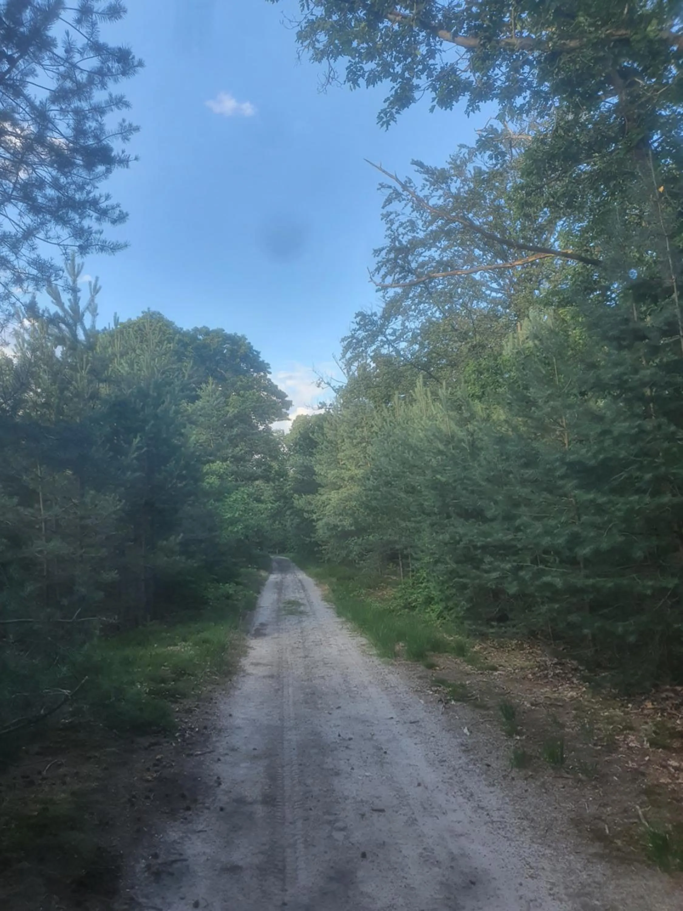 Natural landscape in B&B en vakantiehuis Helene Hoeve