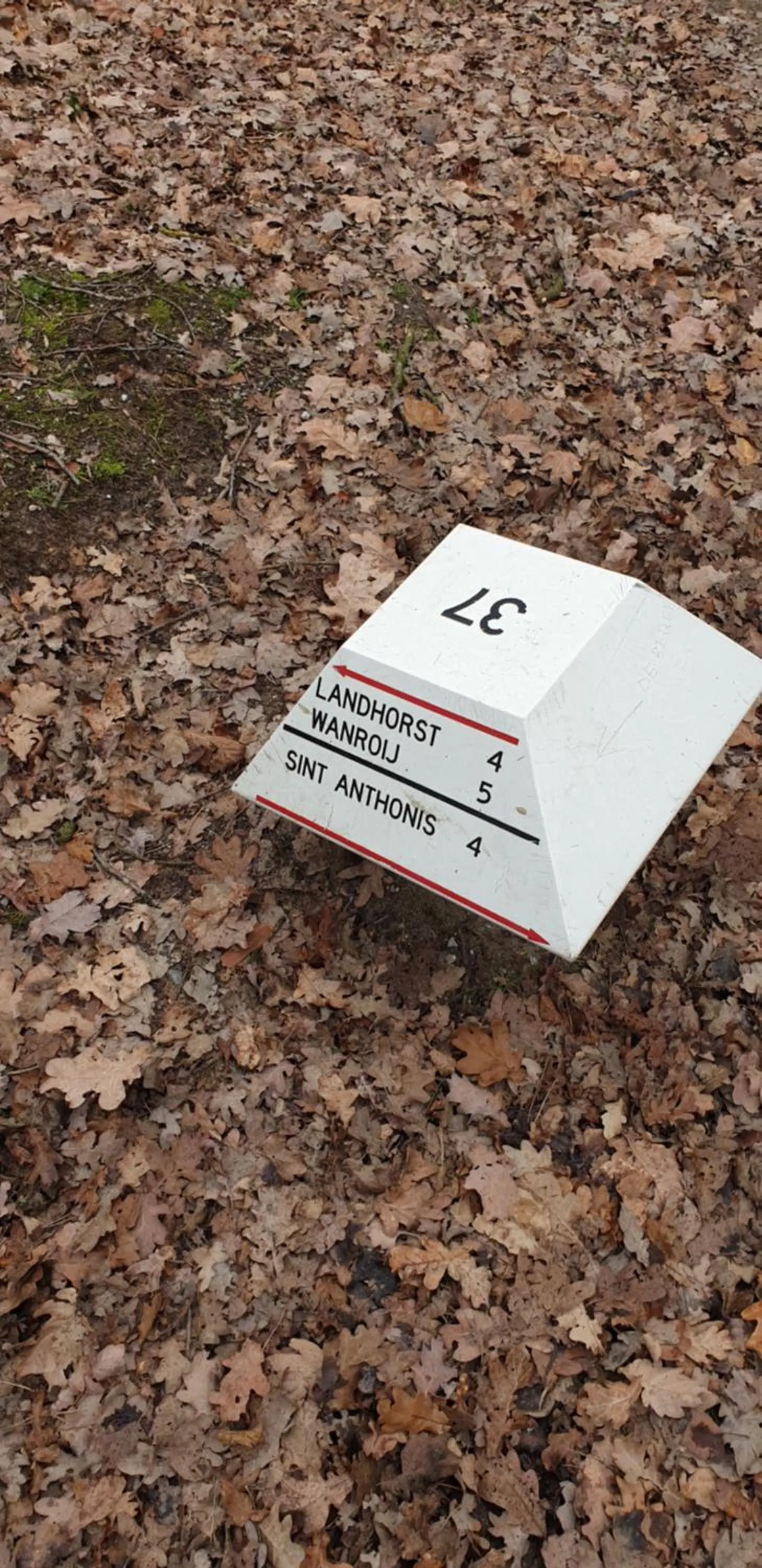 Neighbourhood in B&B en vakantiehuis Helene Hoeve