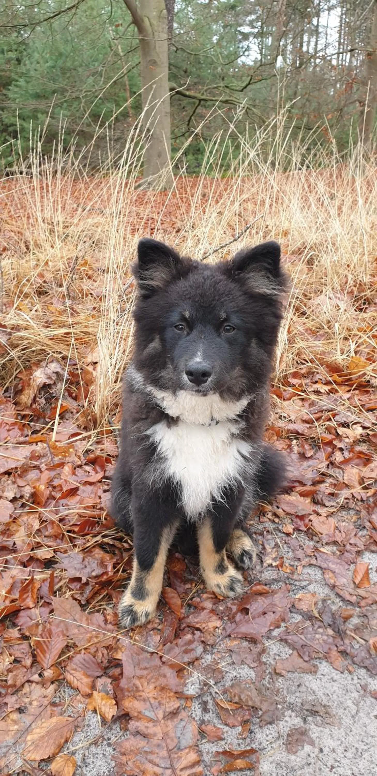 Nearby landmark in B&B en vakantiehuis Helene Hoeve