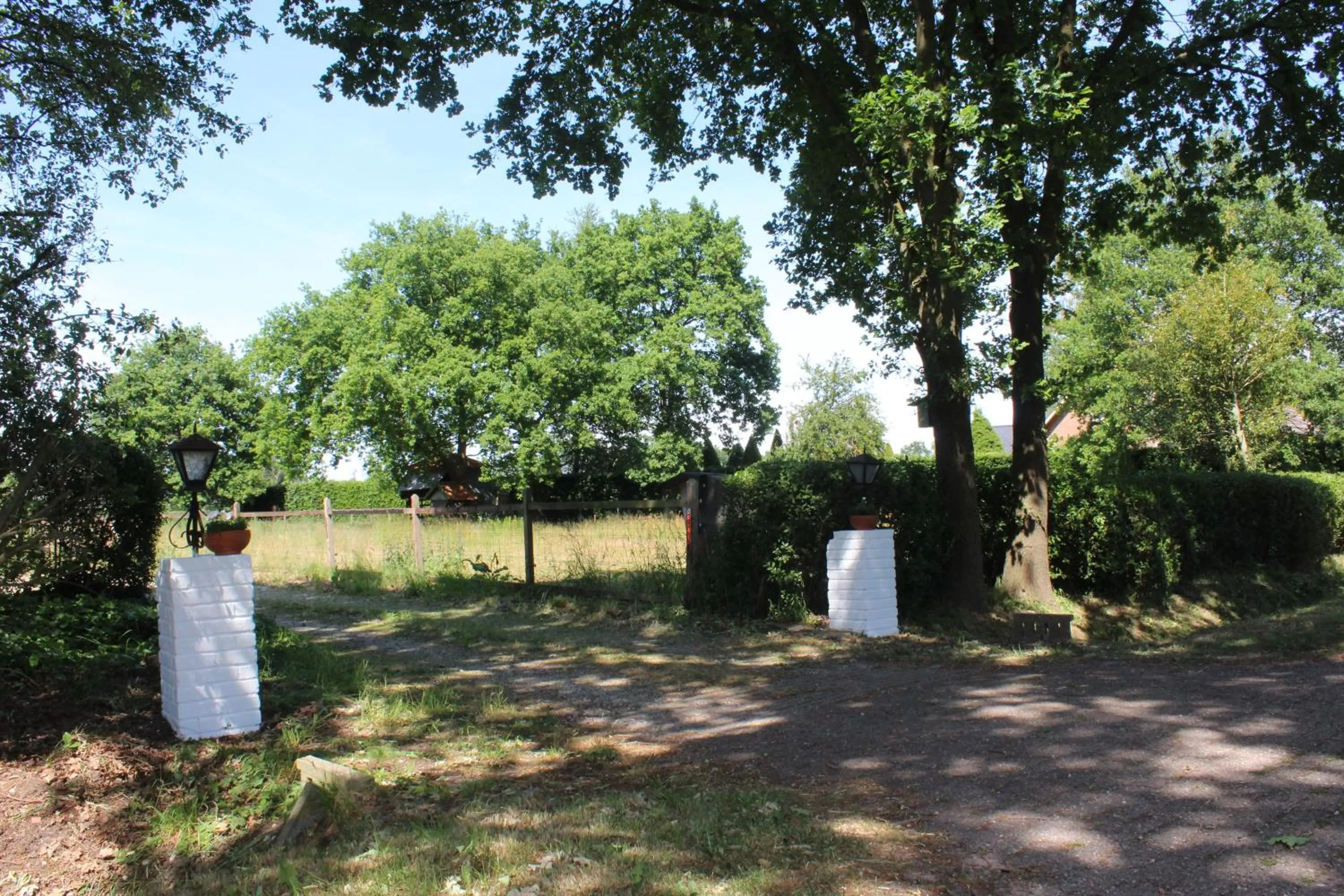 Summer in B&B en vakantiehuis Helene Hoeve