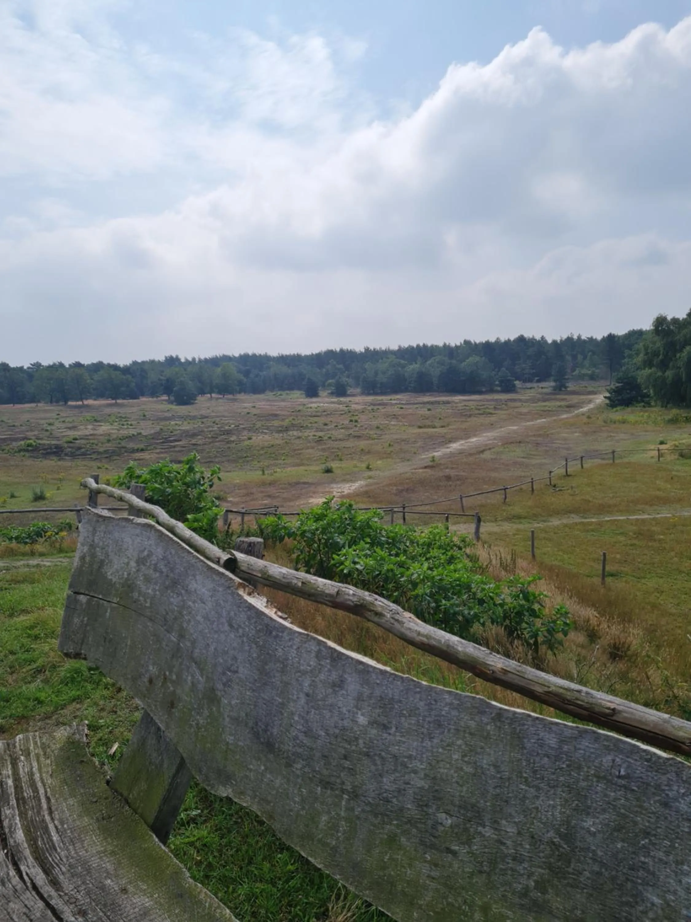 Natural landscape in B&B en vakantiehuis Helene Hoeve