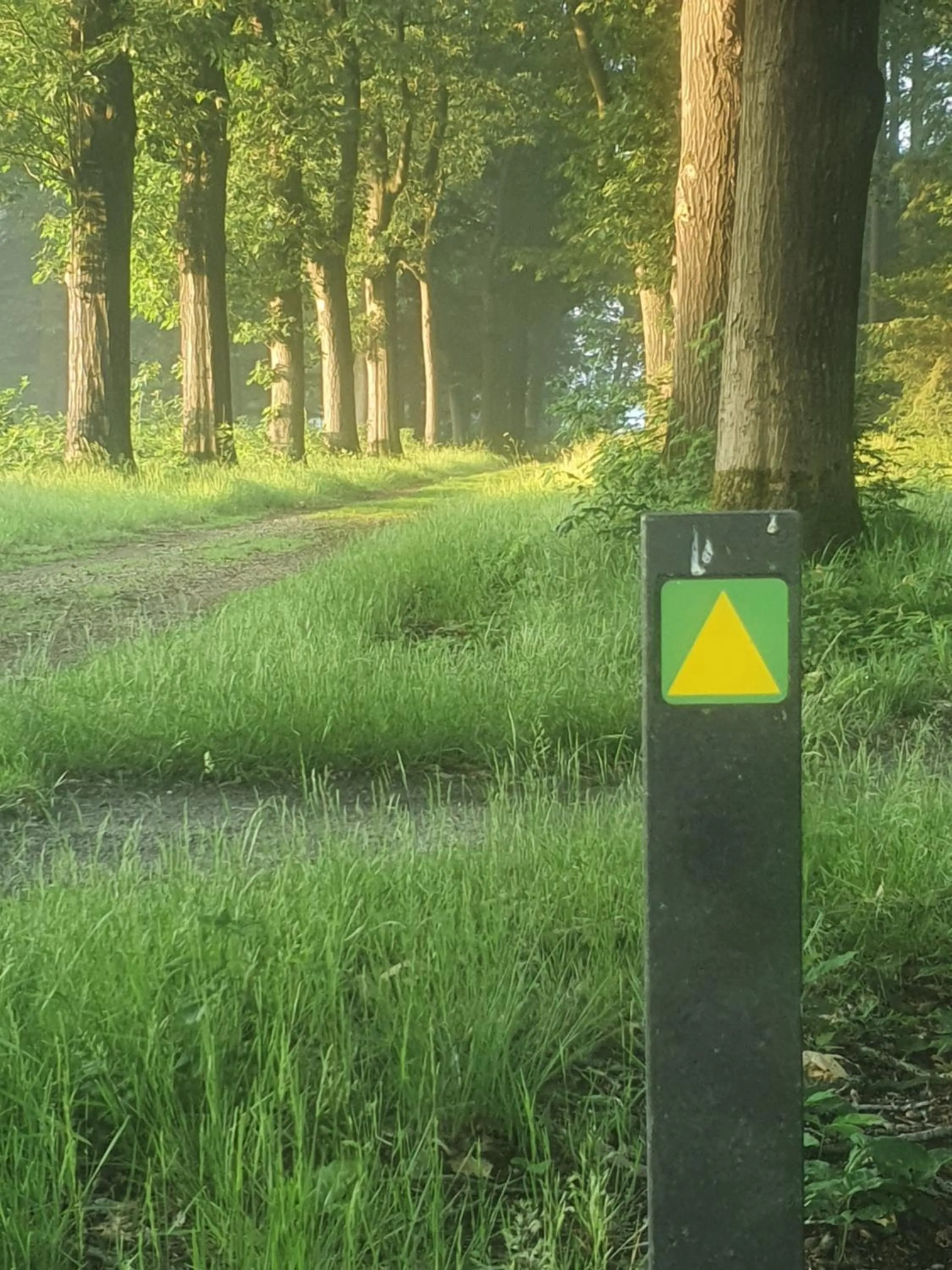 Natural landscape in B&B en vakantiehuis Helene Hoeve