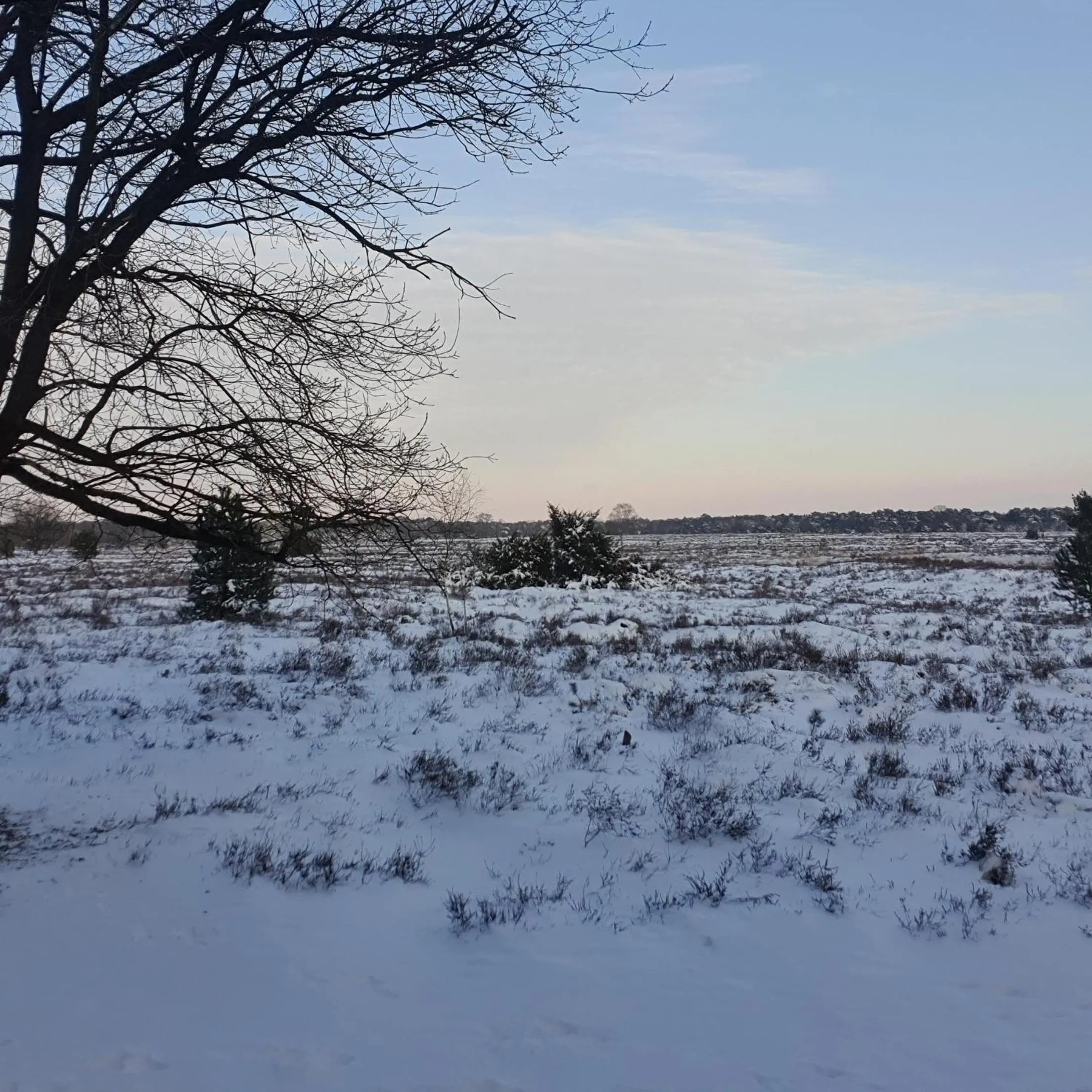 Natural landscape in B&B en vakantiehuis Helene Hoeve
