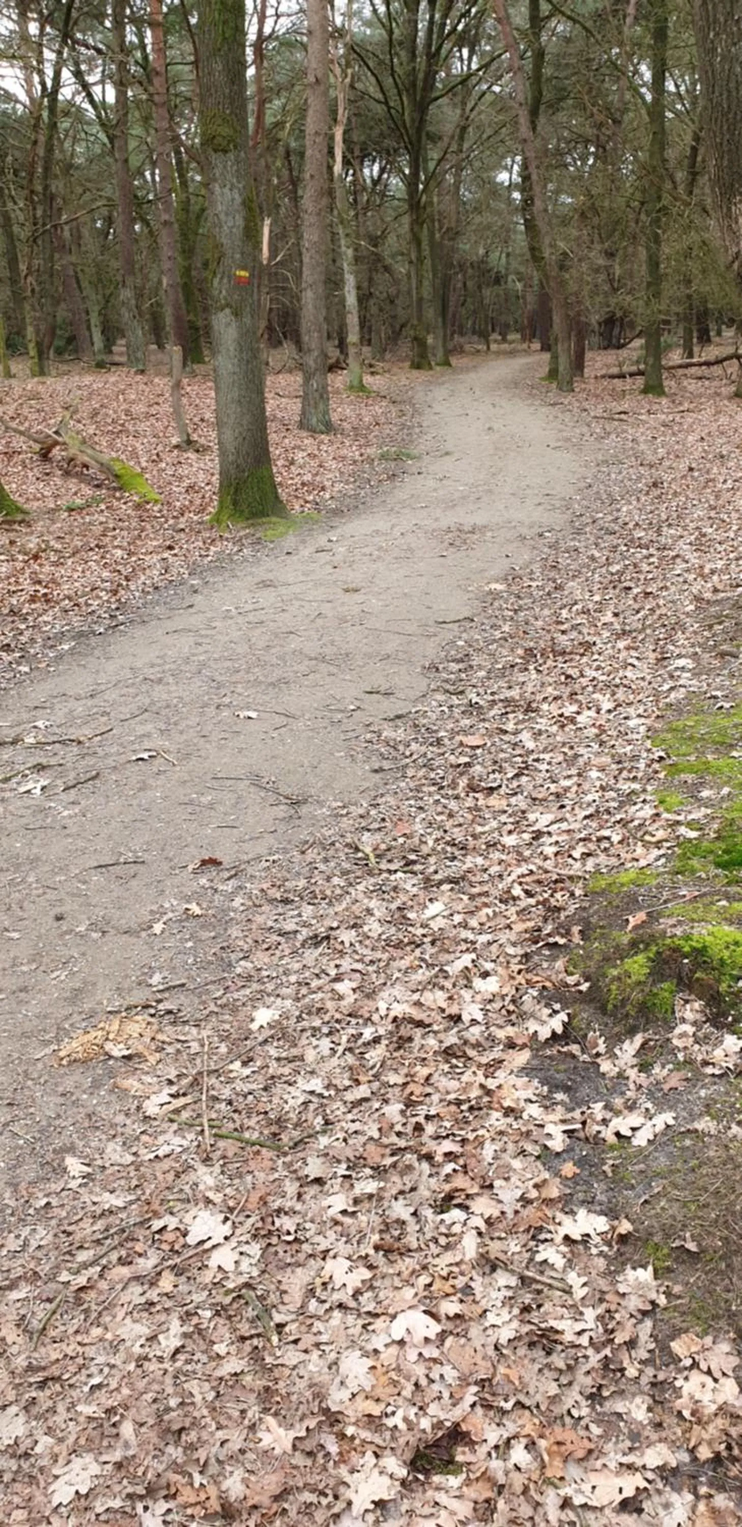 Neighbourhood in B&B en vakantiehuis Helene Hoeve