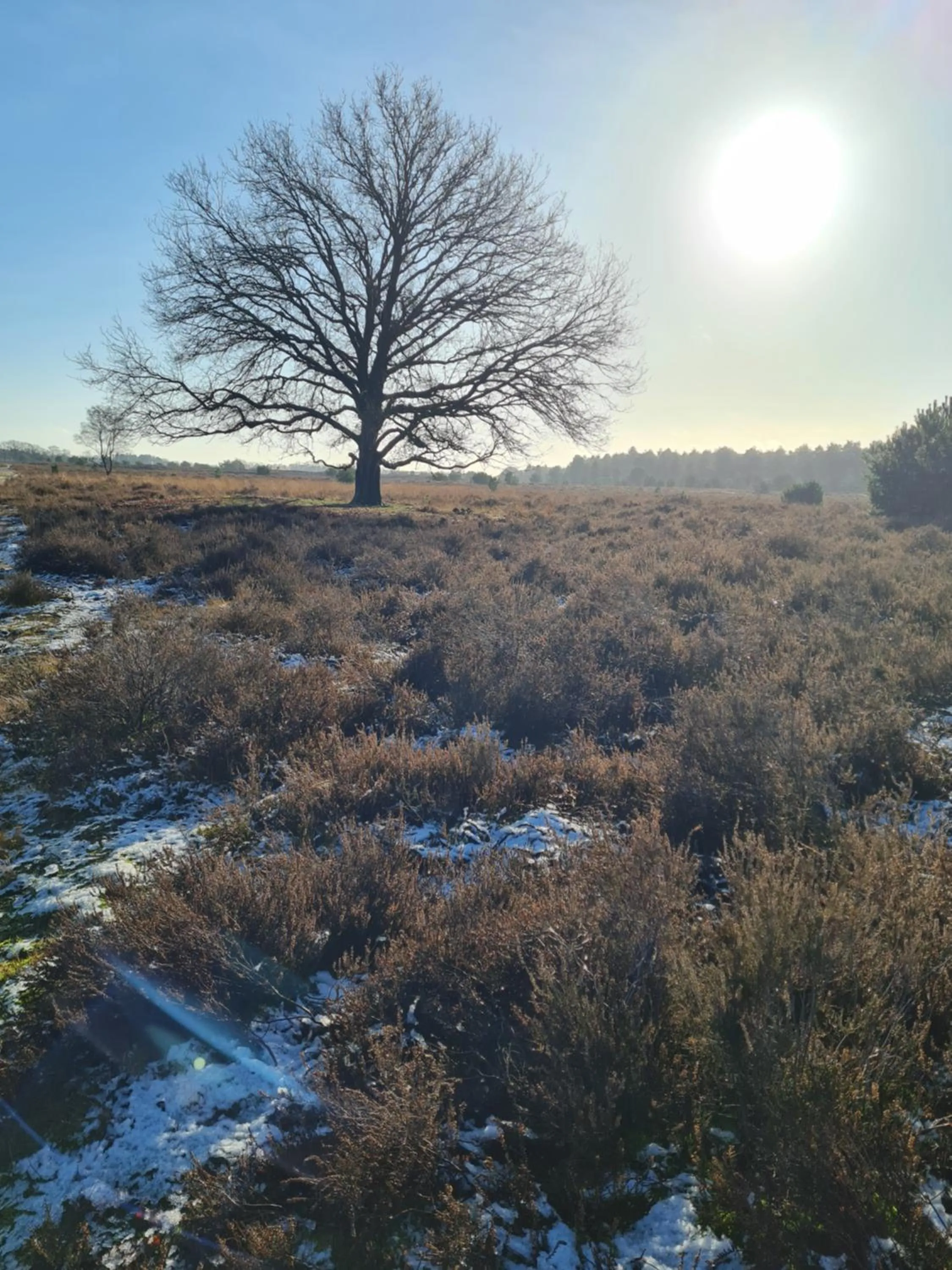 Natural landscape in B&B en vakantiehuis Helene Hoeve