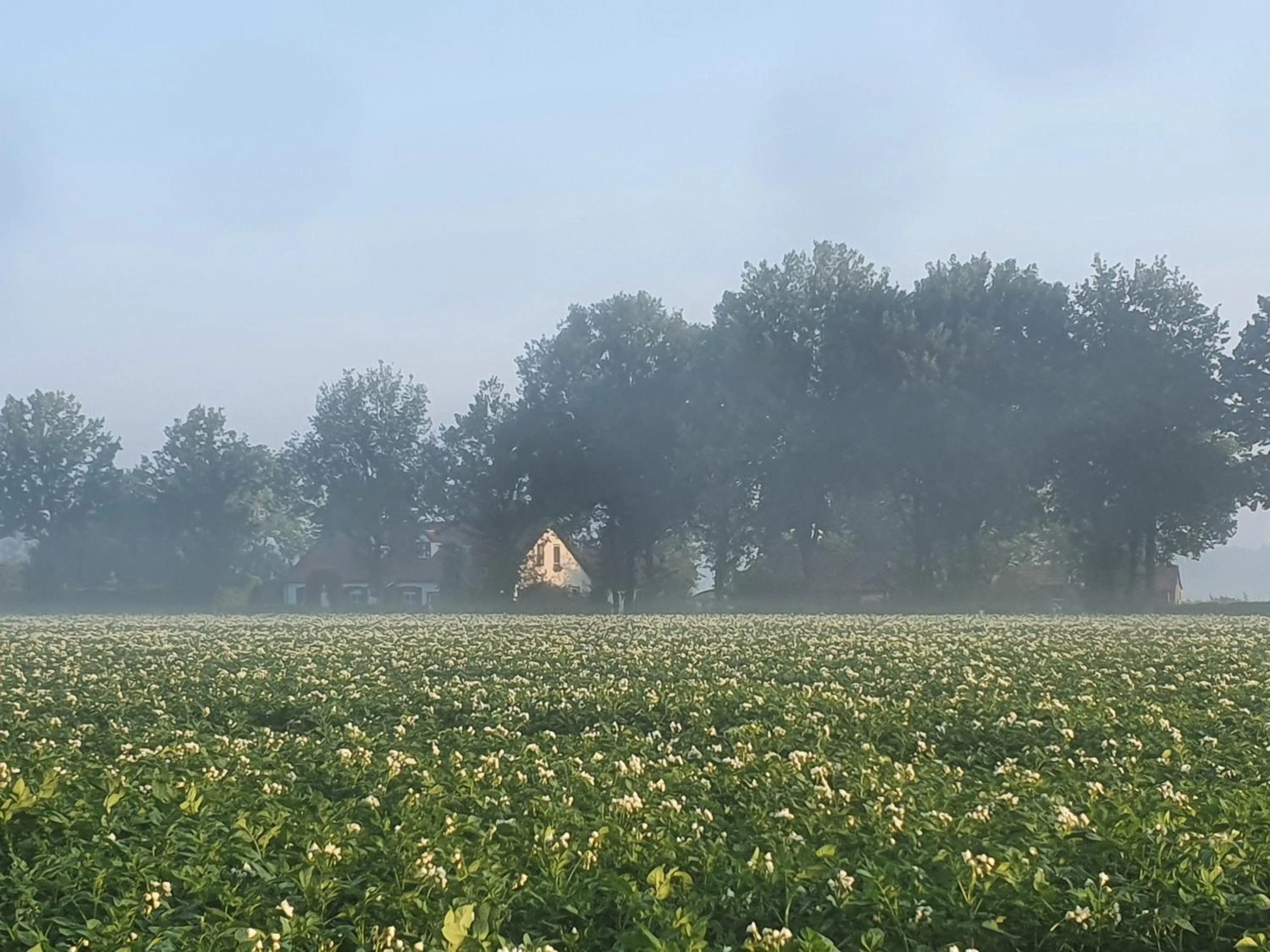 Property building in B&B en vakantiehuis Helene Hoeve