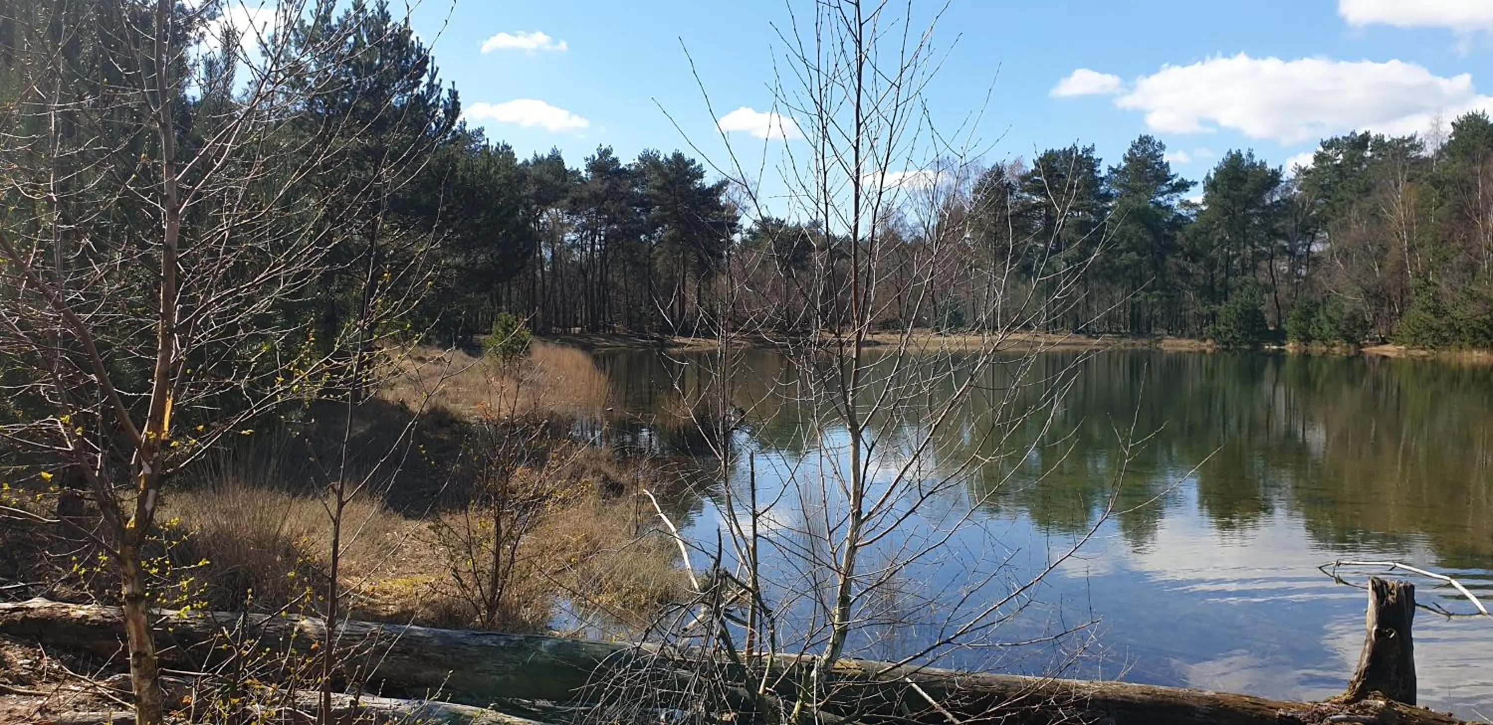 Natural landscape in B&B en vakantiehuis Helene Hoeve