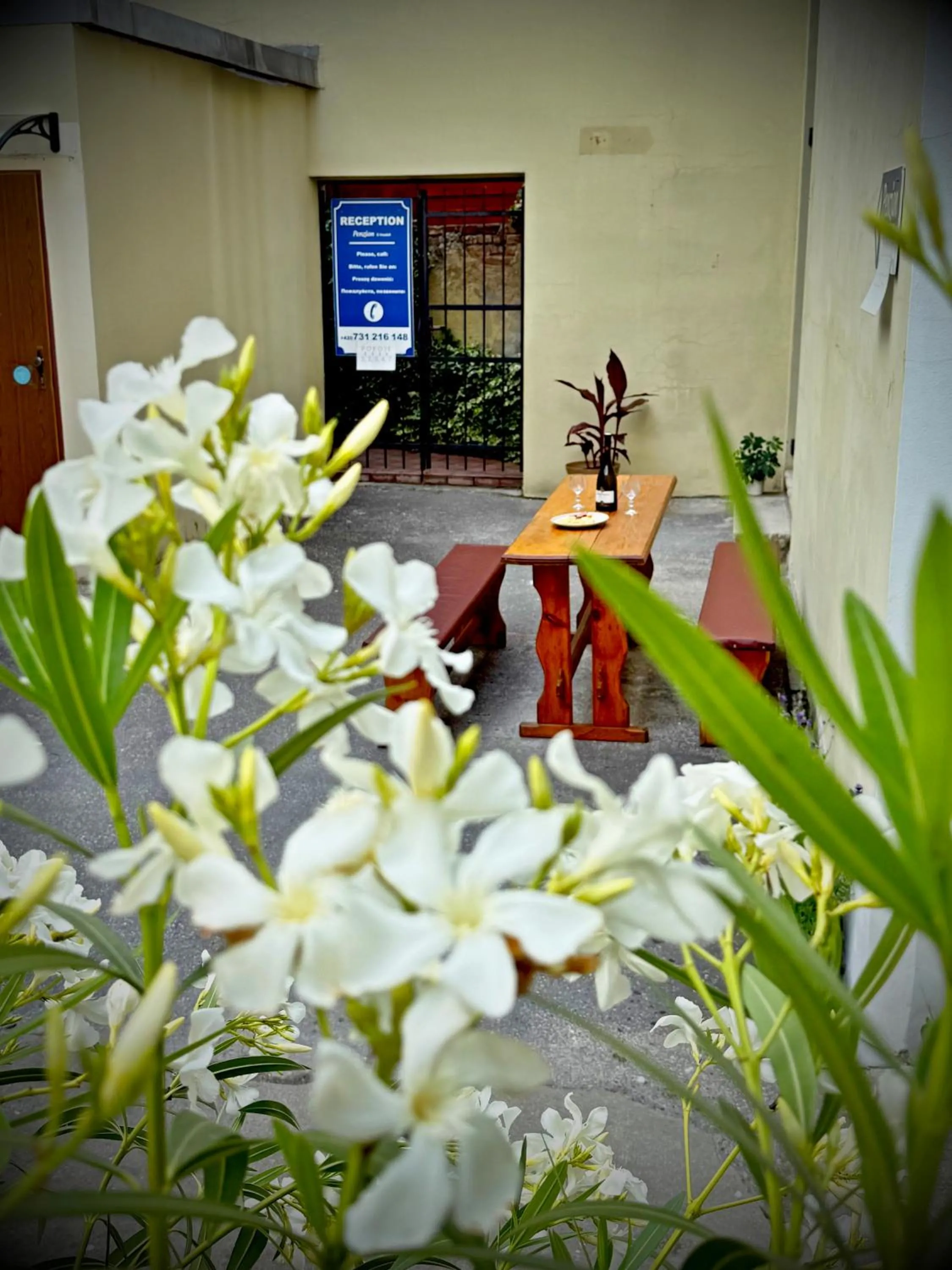 Property building in Penzion U Hradeb
