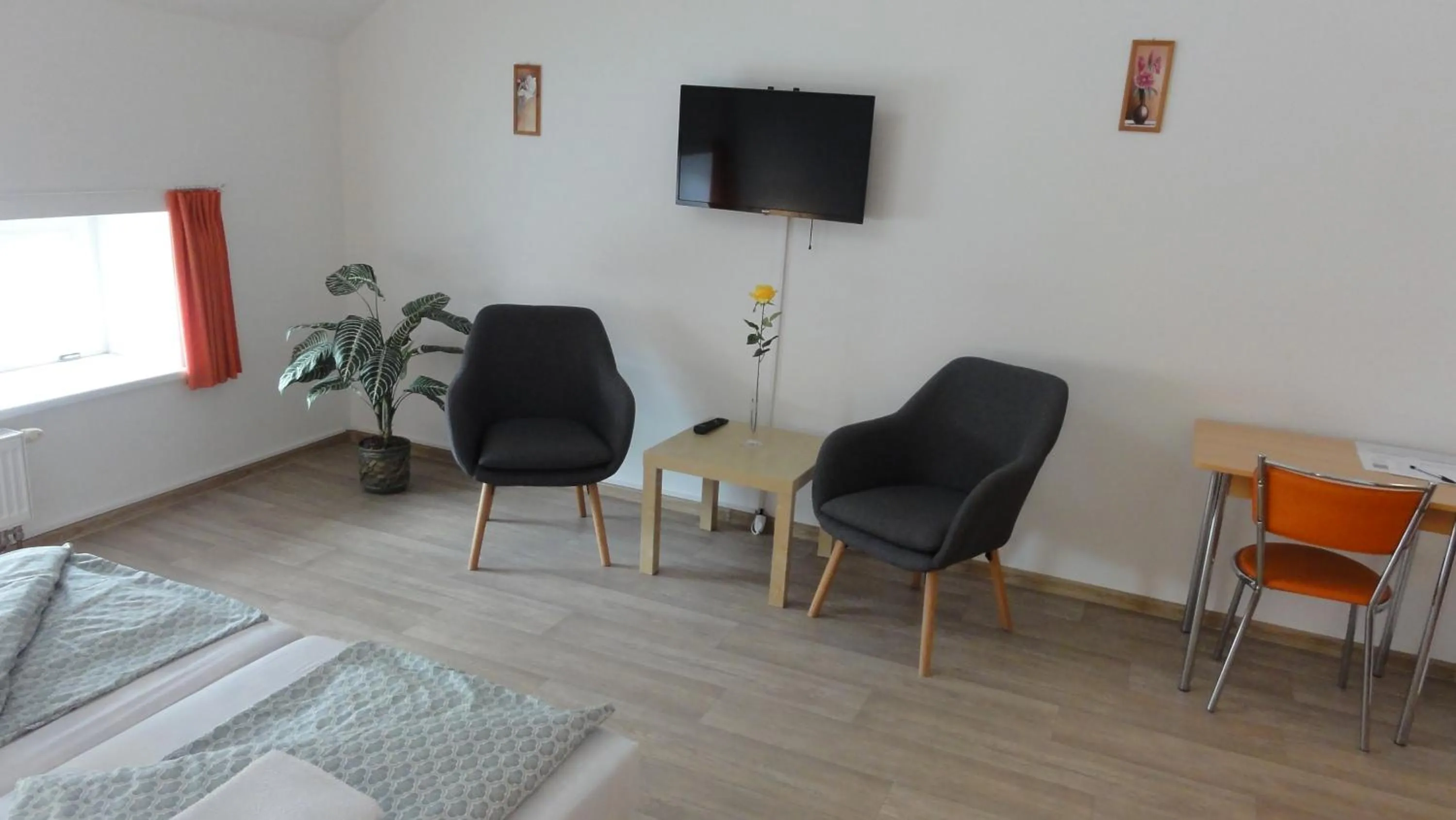 TV and multimedia in Penzion U Hradeb