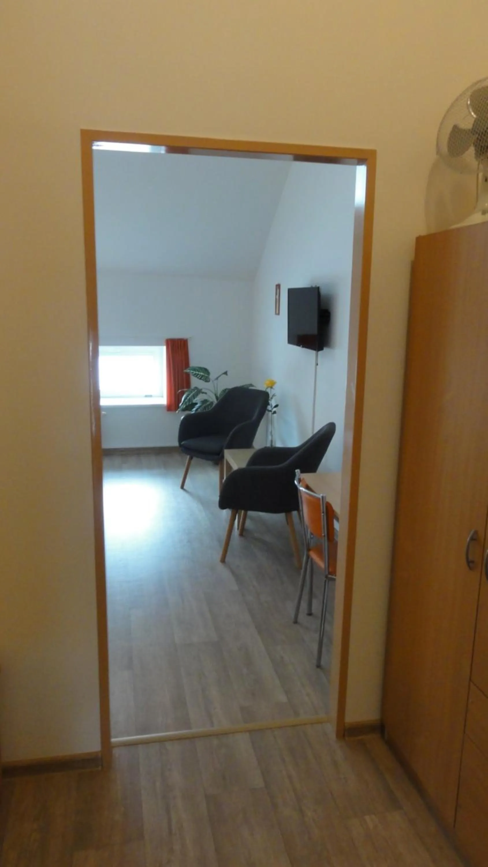 TV and multimedia in Penzion U Hradeb