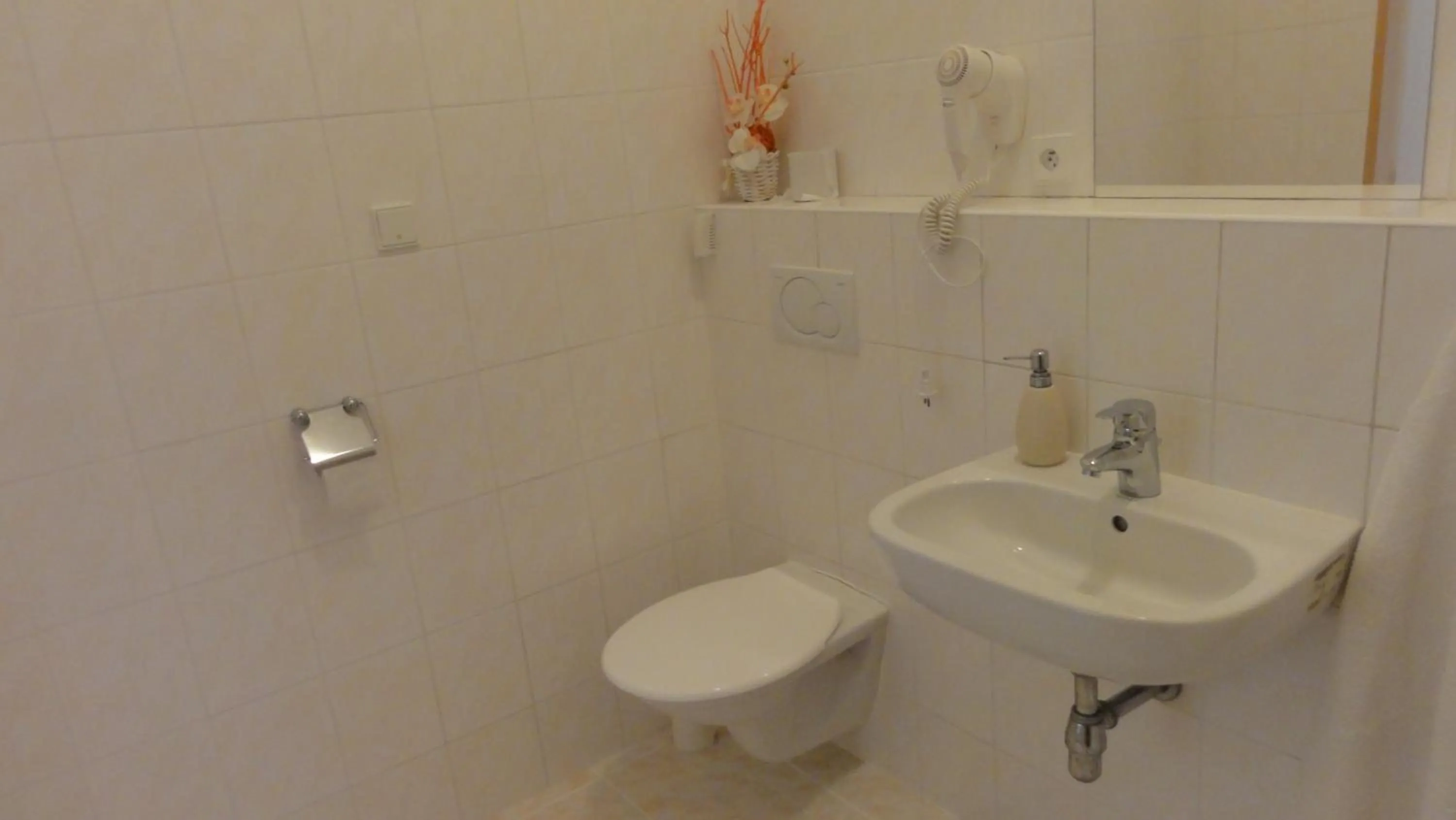 Shower in Penzion U Hradeb