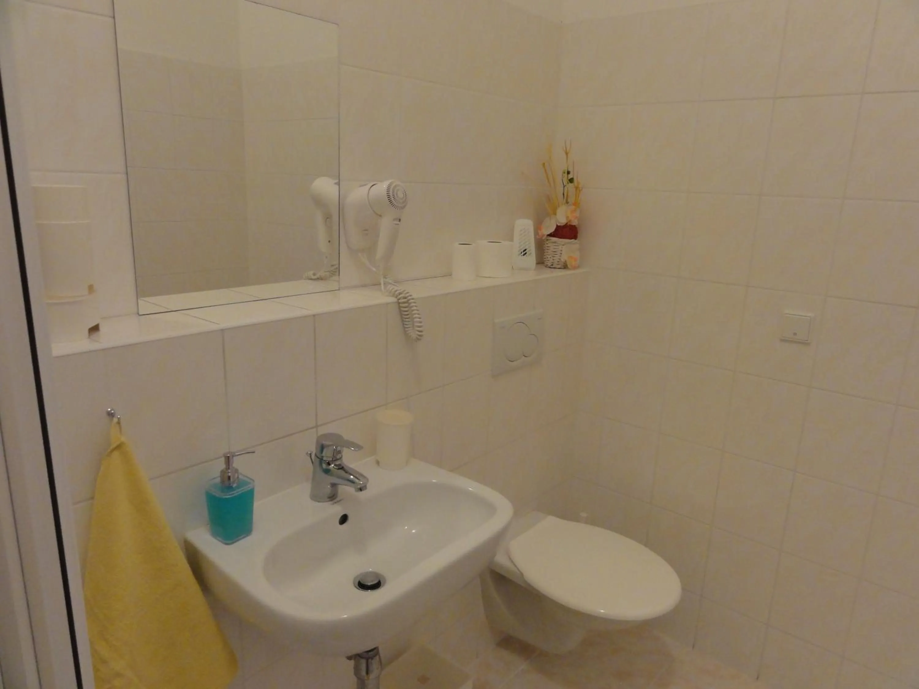 Shower in Penzion U Hradeb