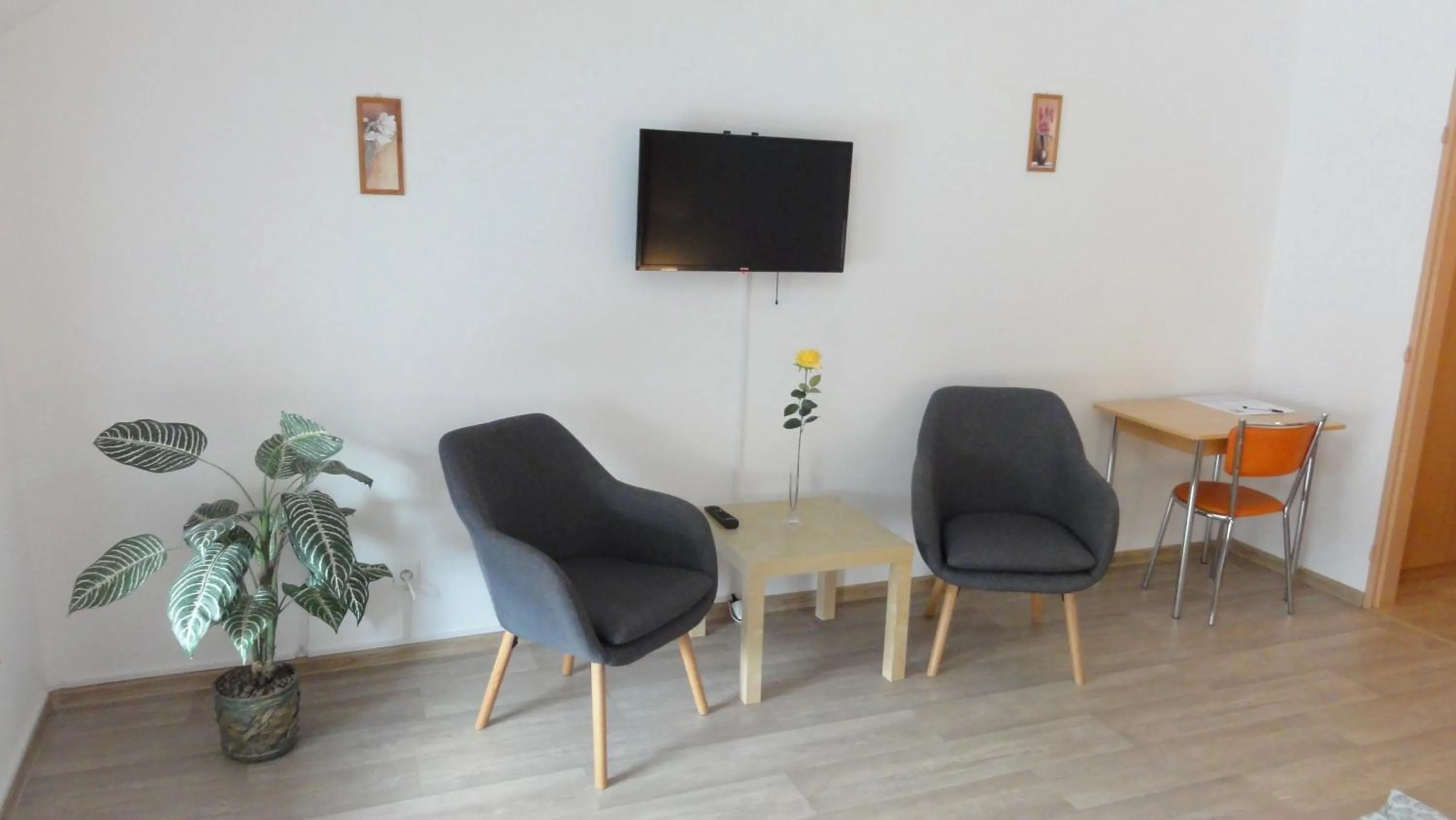 TV and multimedia in Penzion U Hradeb