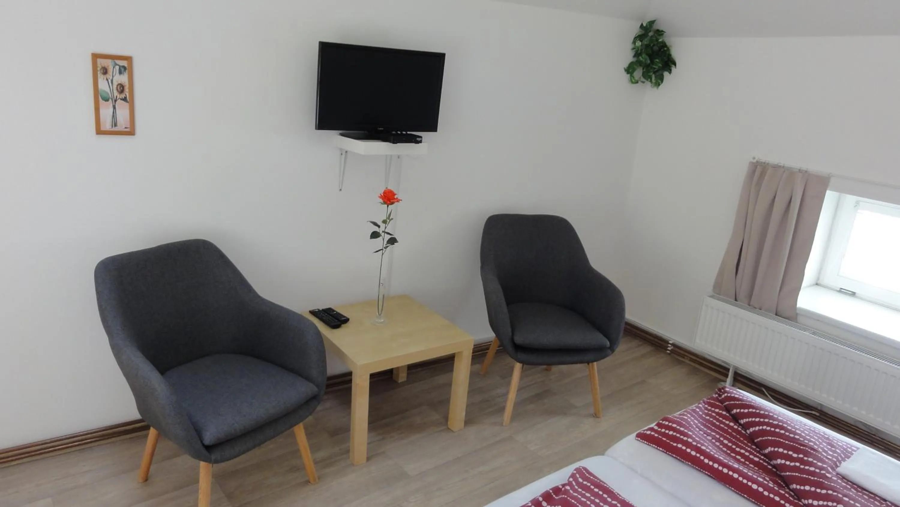 TV and multimedia in Penzion U Hradeb