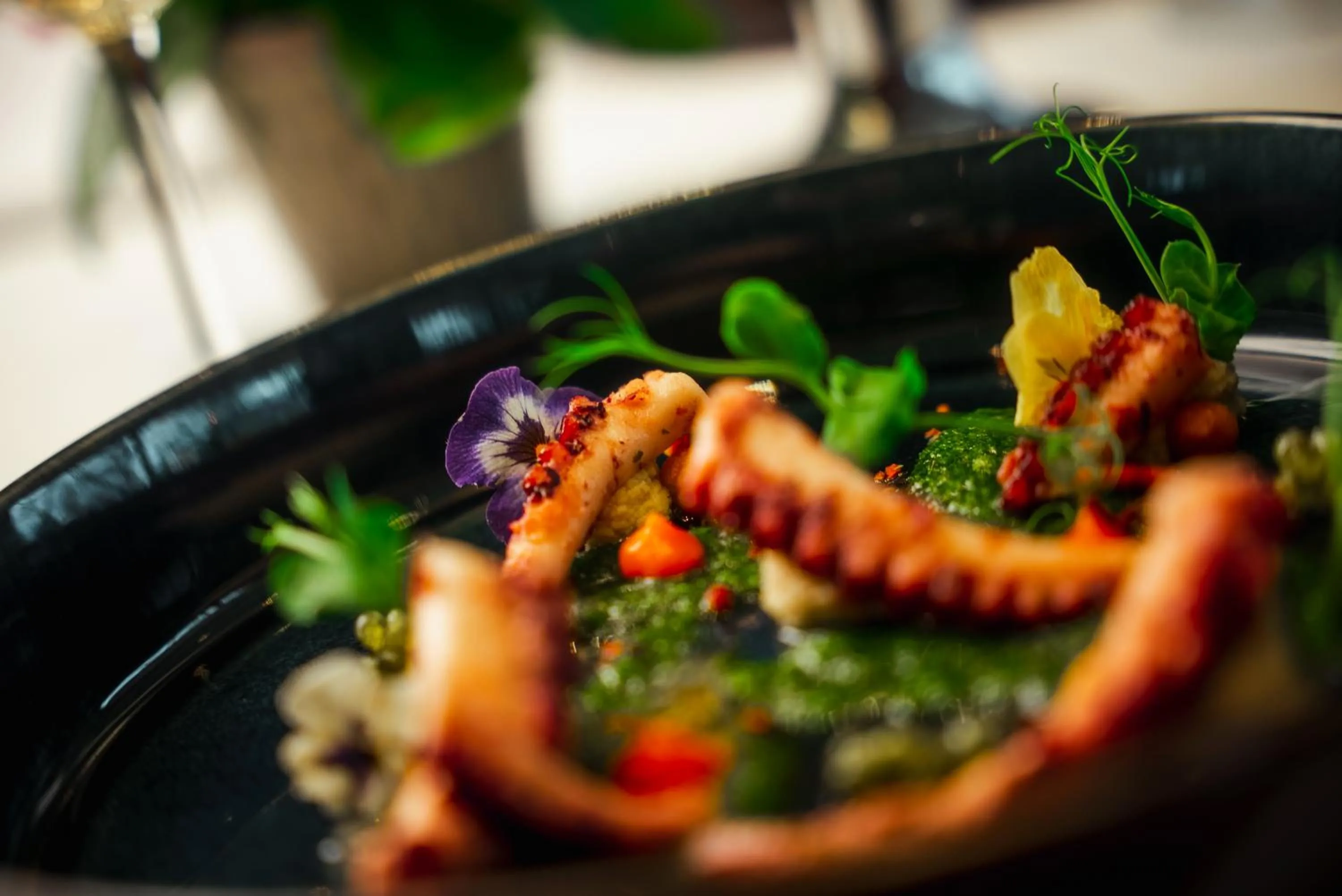 Restaurant/places to eat in Parkhotel Kurhaus