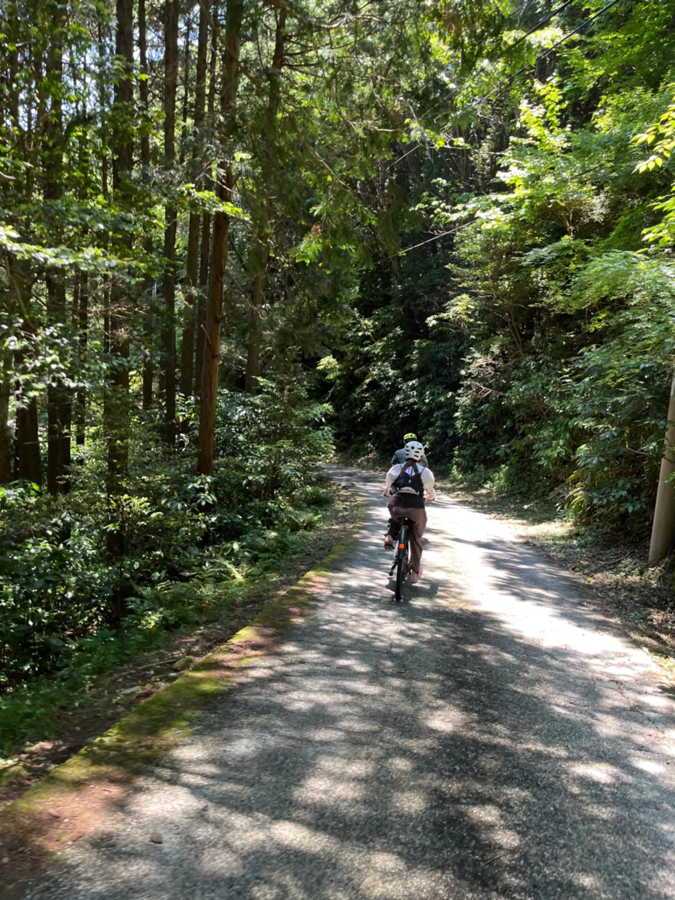 Nearby landmark in Backpackers Hostel TSUBAMENOYADO