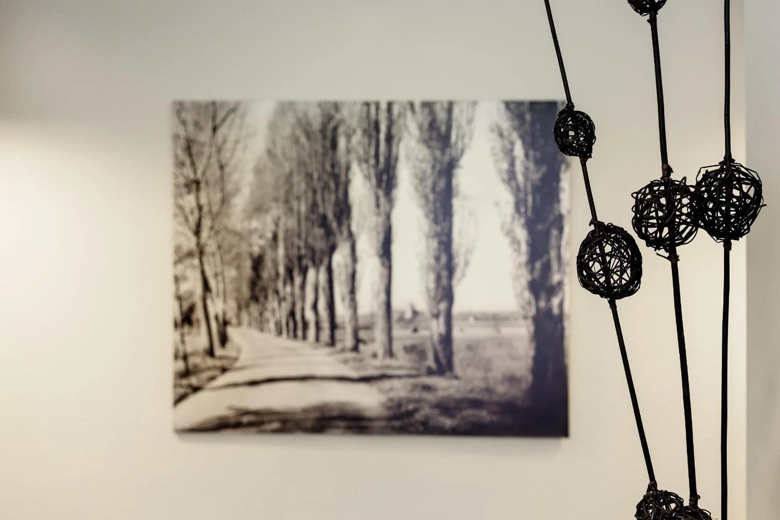 Area and facilities in Ganter Hotel & Restaurant Mohren