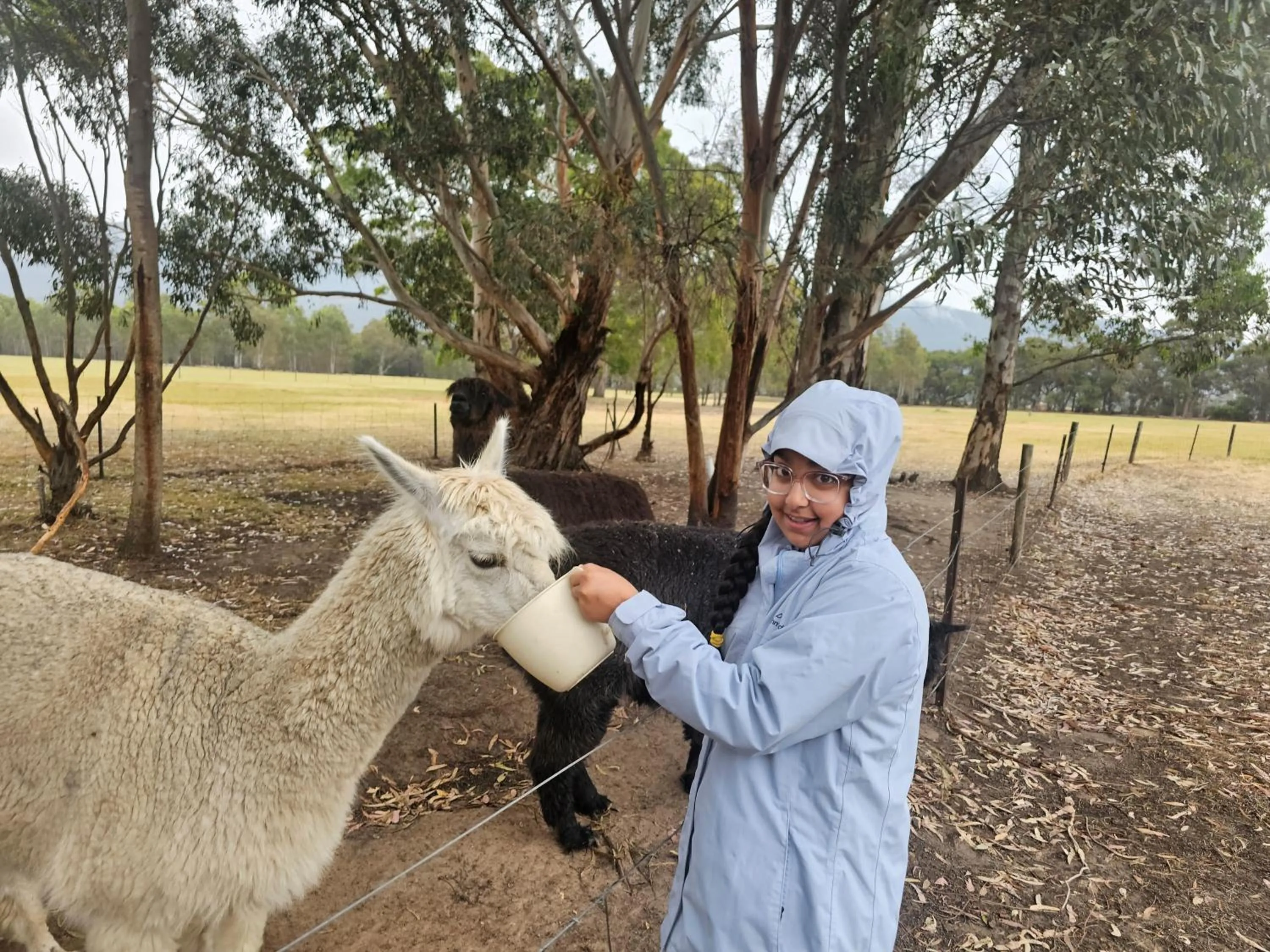 Halls Haven Holiday Units