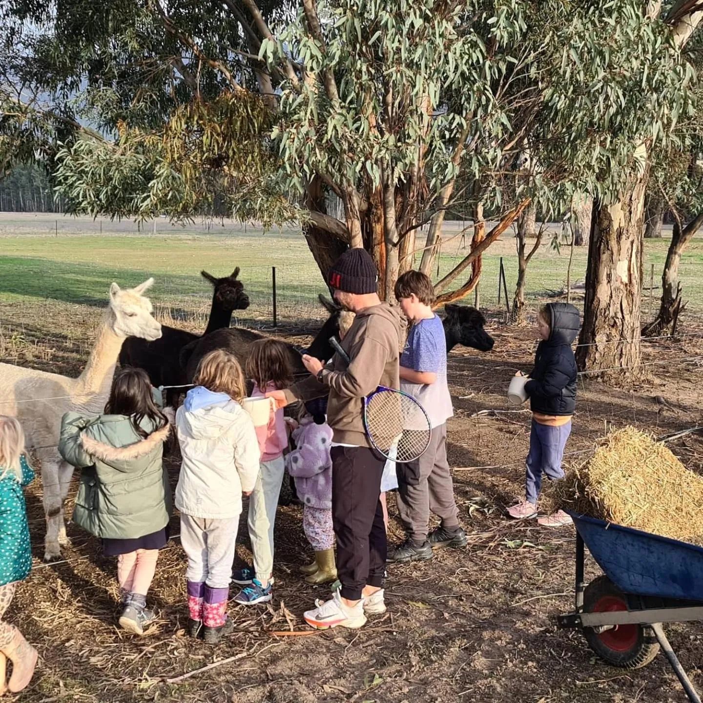 Animals in Halls Haven Holiday Units