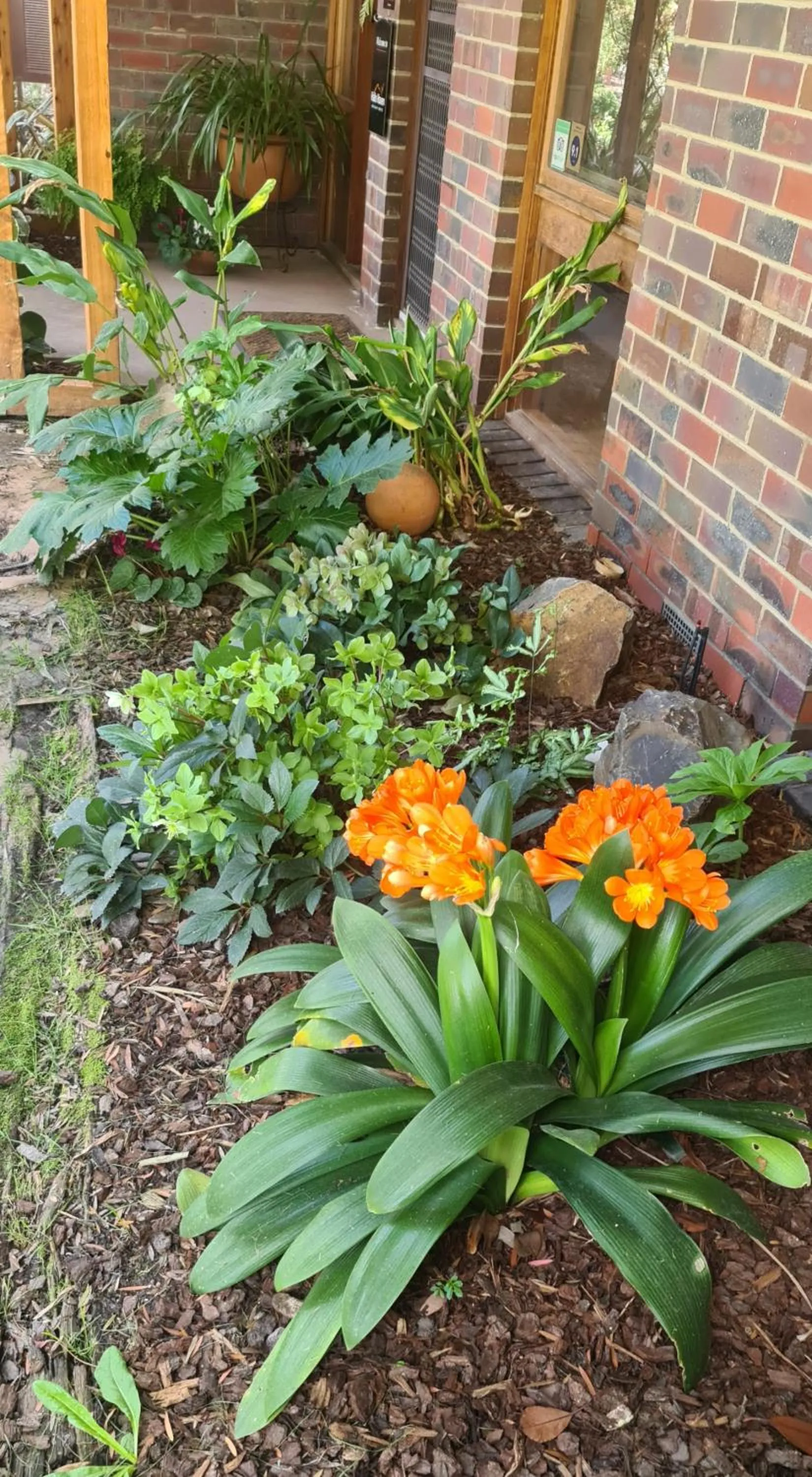 Garden in Halls Haven Holiday Units