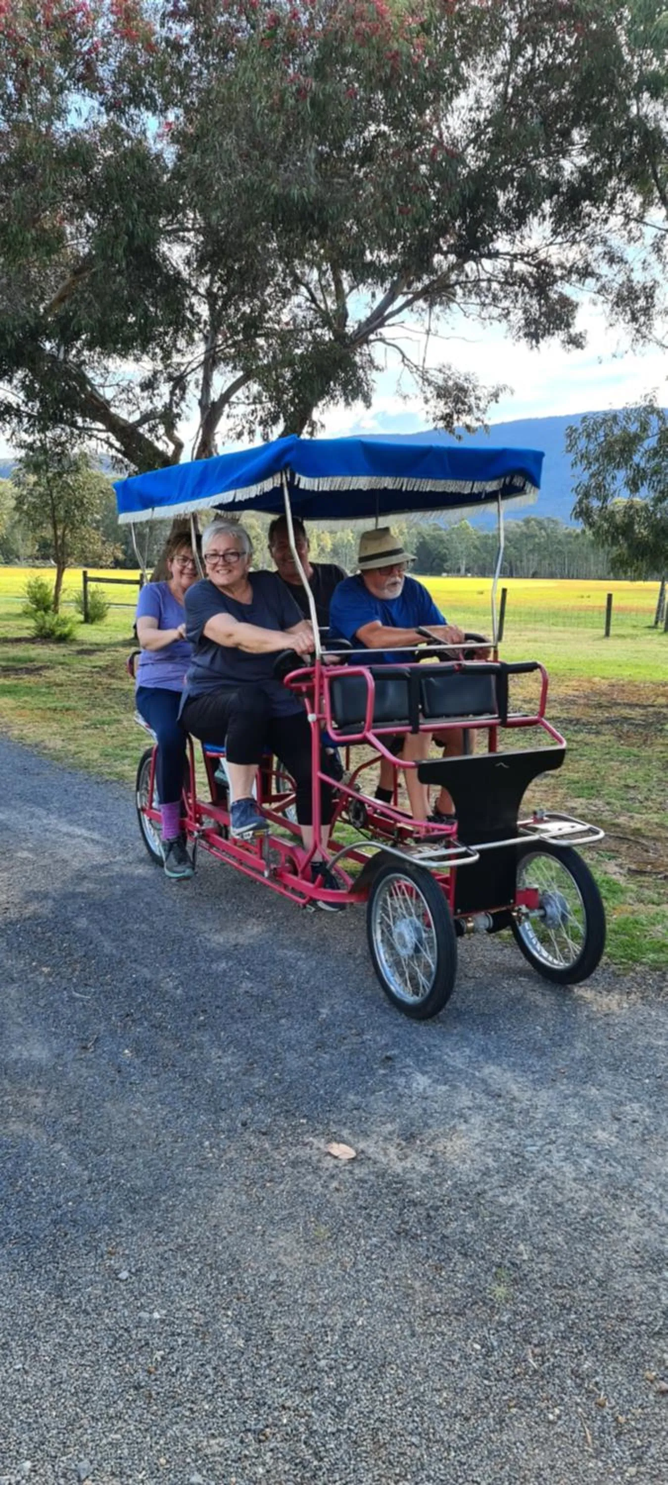 Activities in Halls Haven Holiday Units