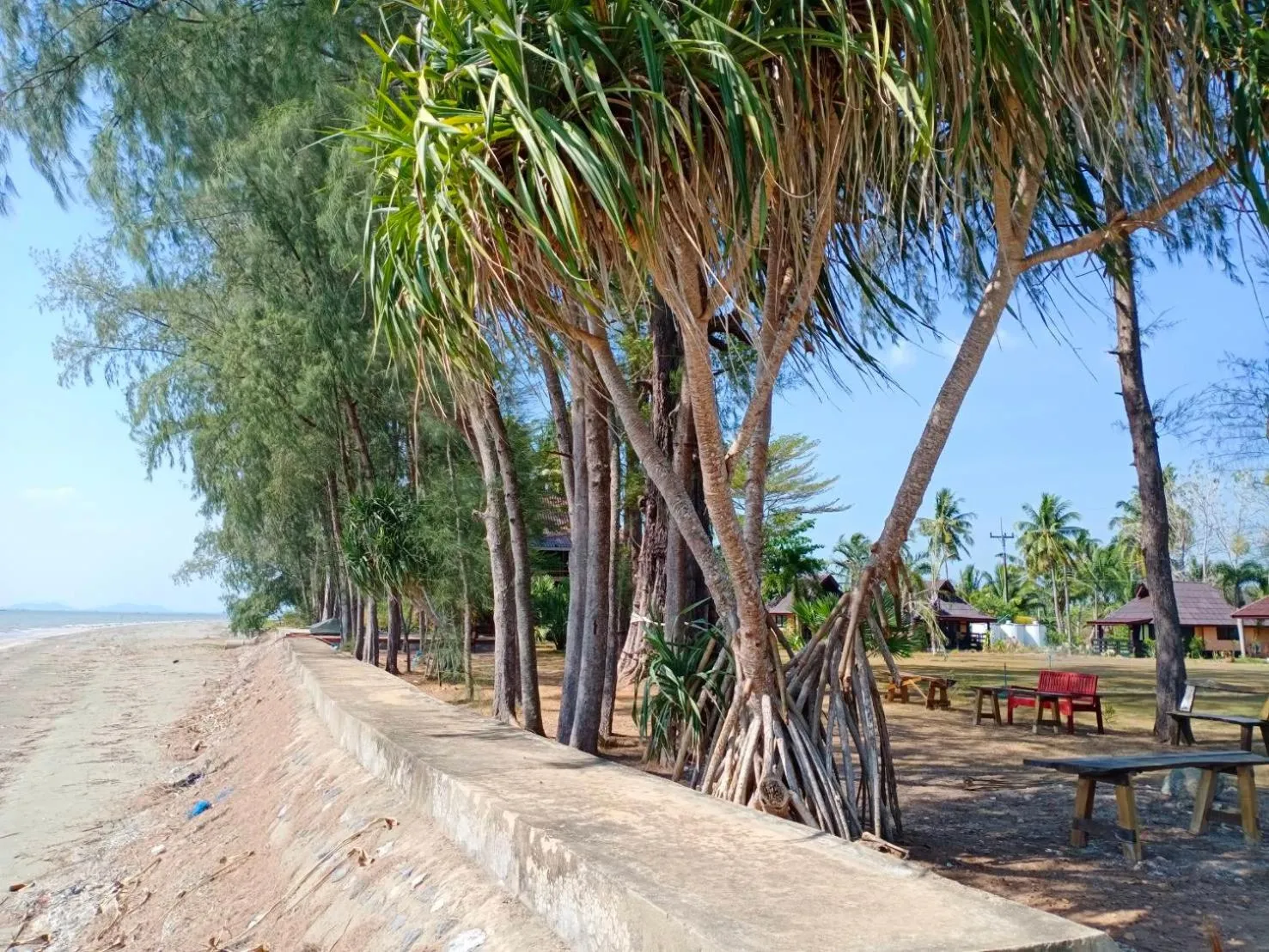 Natural landscape in The Chevalley Beach Resort
