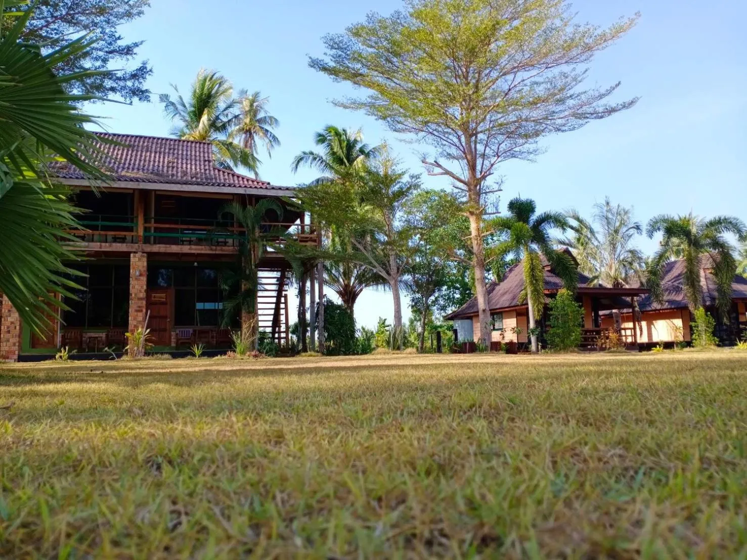 Garden view in The Chevalley Beach Resort