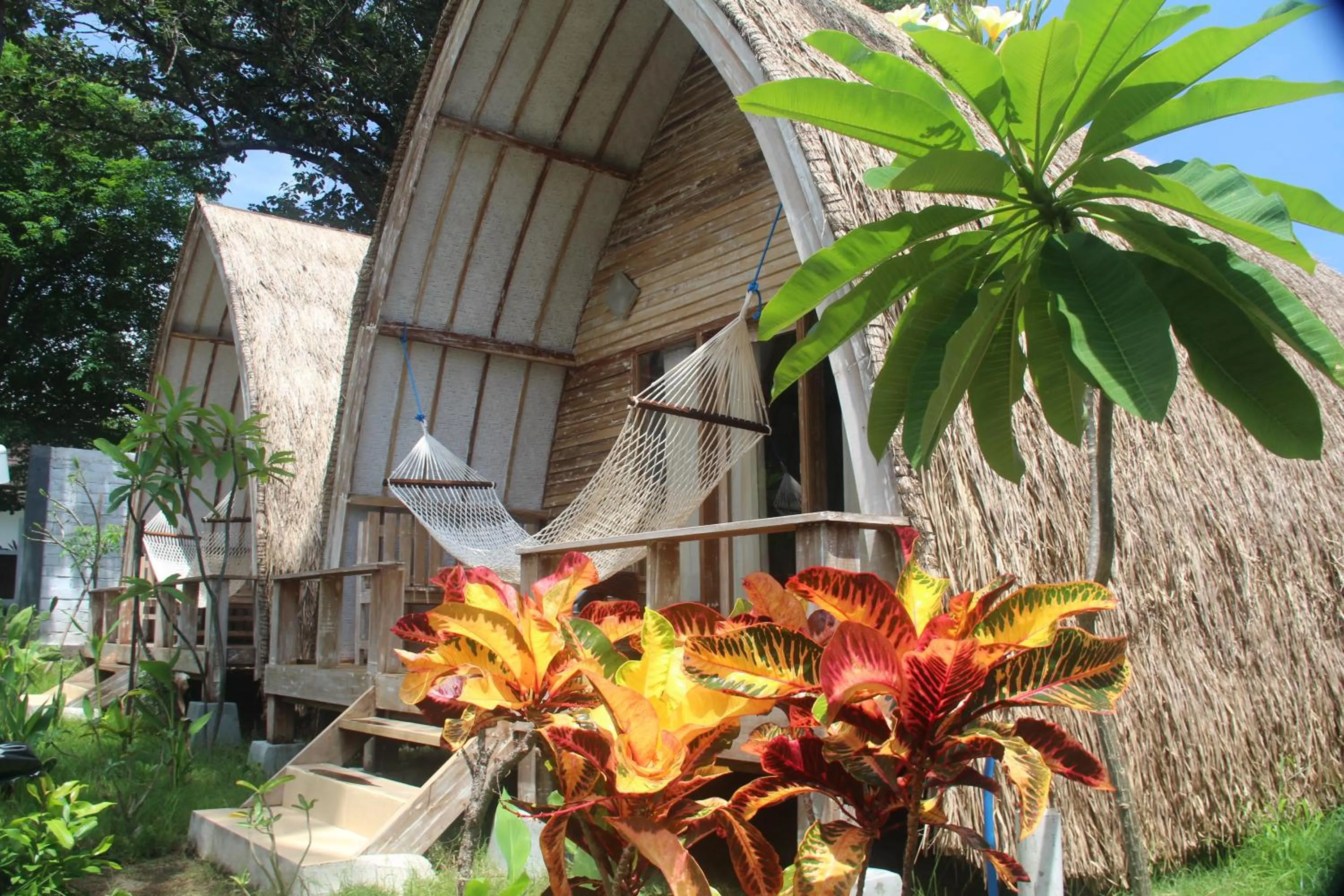 Photo of the whole room in Star Bar and Bungalows
