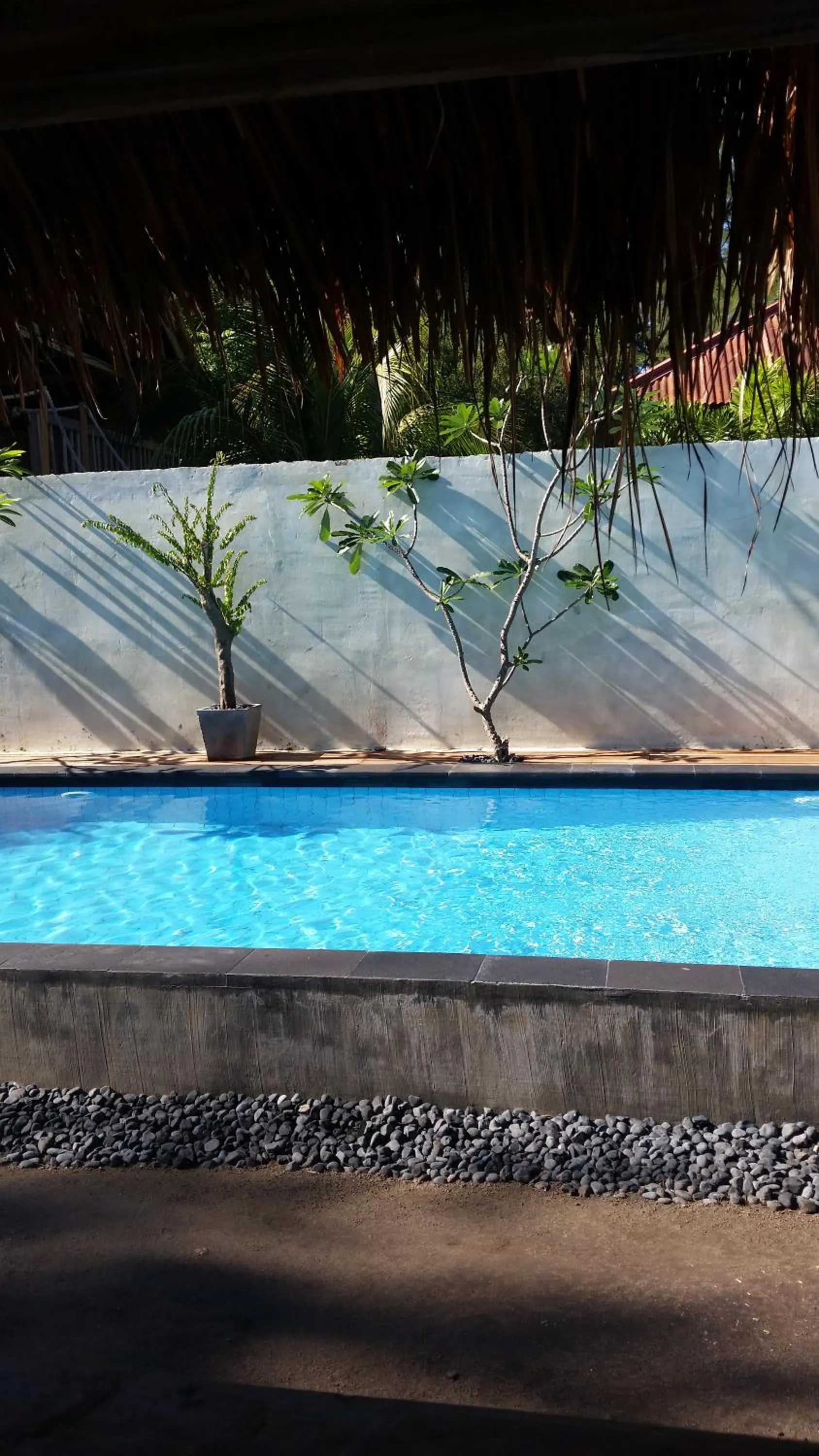 Star Bar and Bungalows