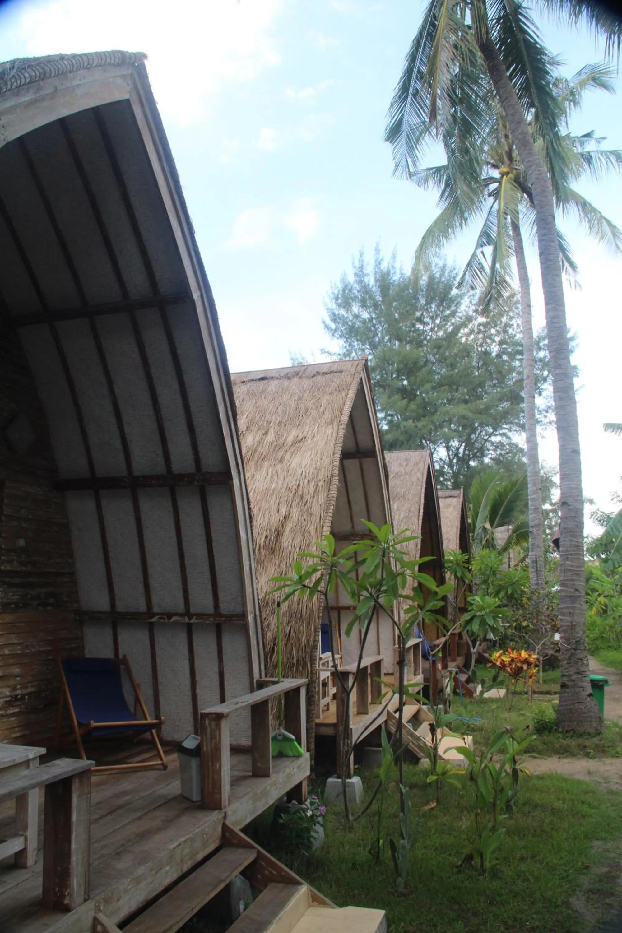 Garden in Star Bar and Bungalows