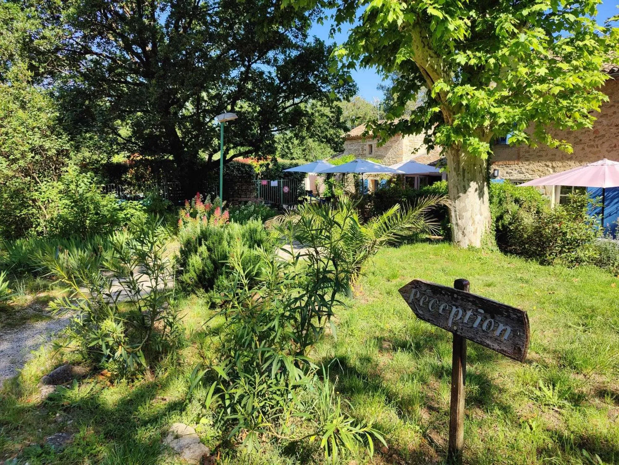Garden in Le Mas des Laurels