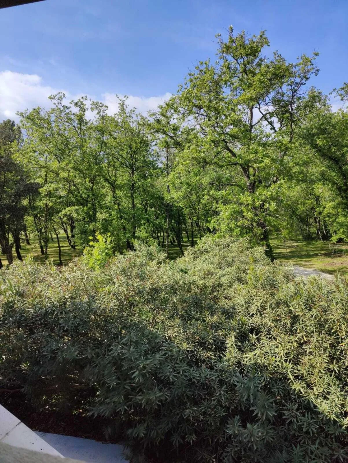 Garden in Le Mas des Laurels