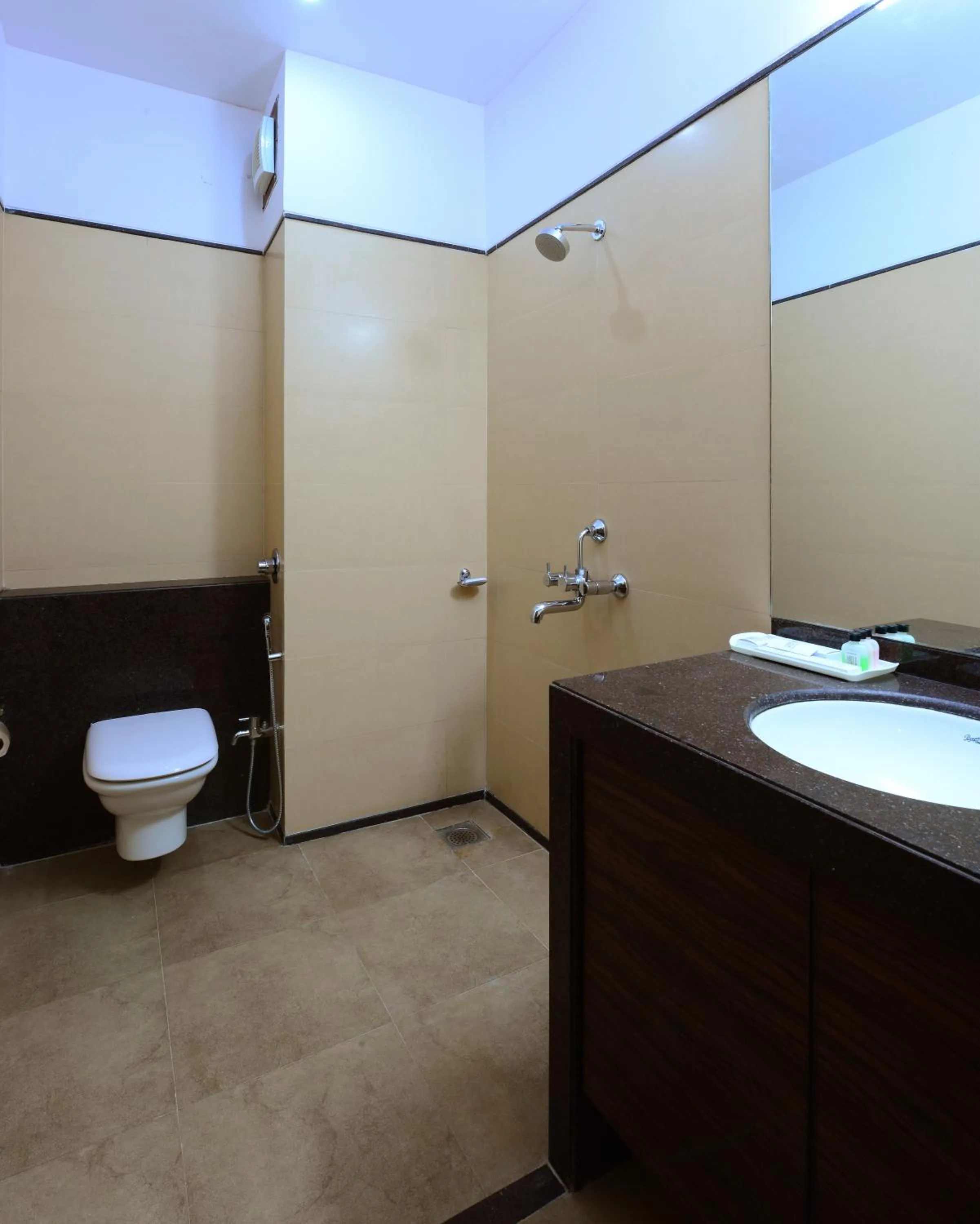 Bathroom in JC Castle