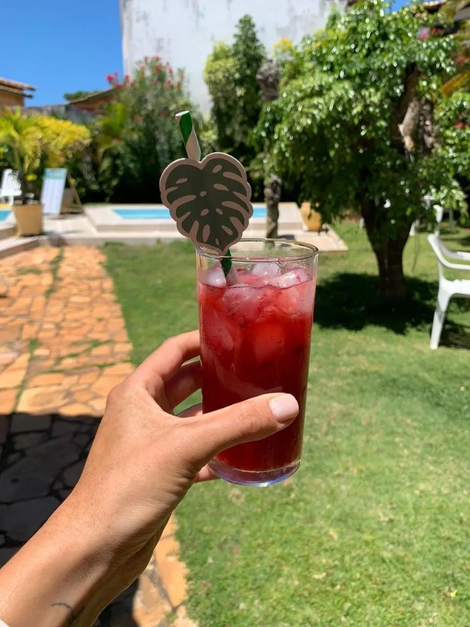 Drinks in EcoVila-Zen Bougainville - Hotel Pousada